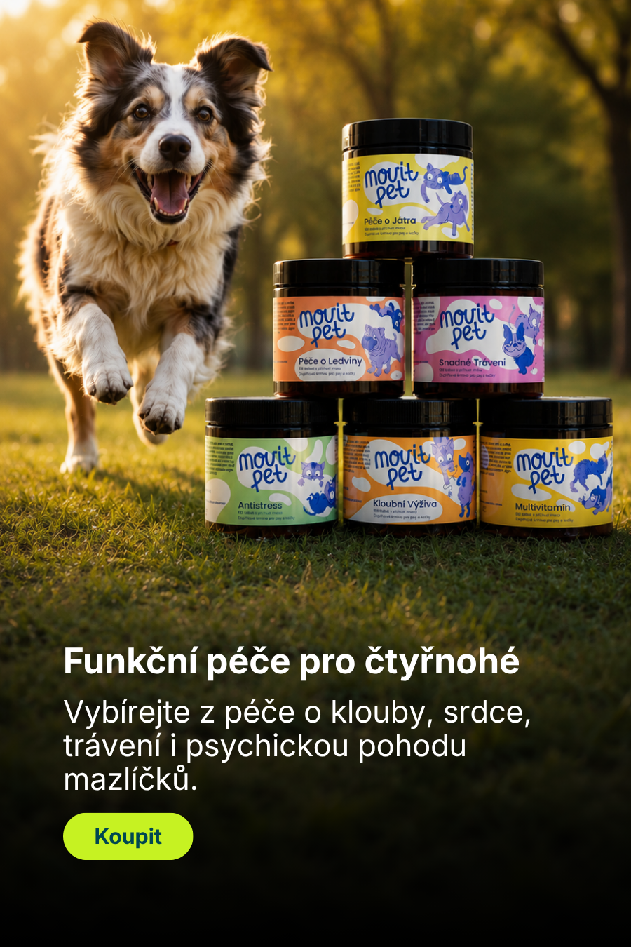 MOVit
