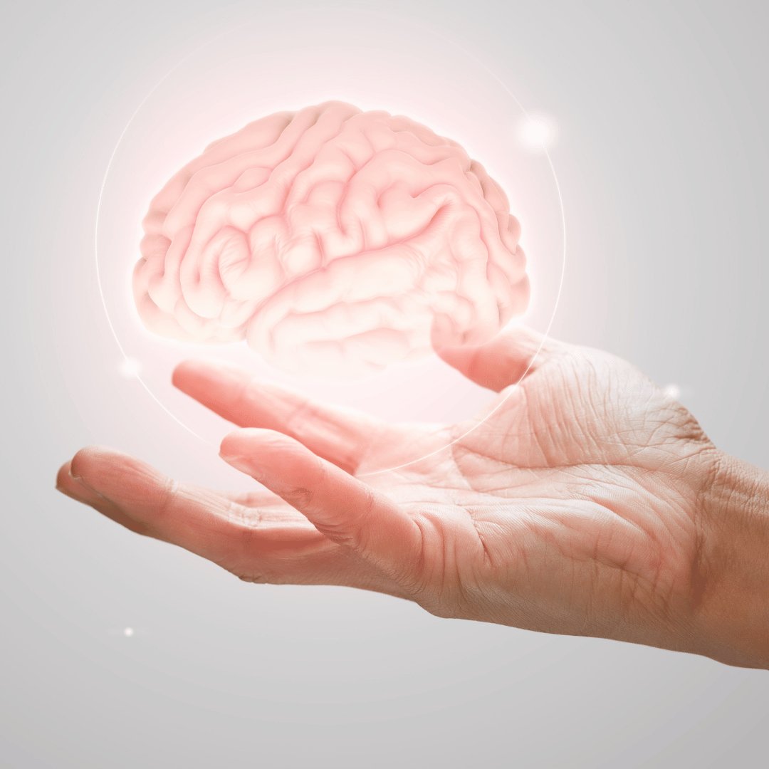 Paměť a soustředění