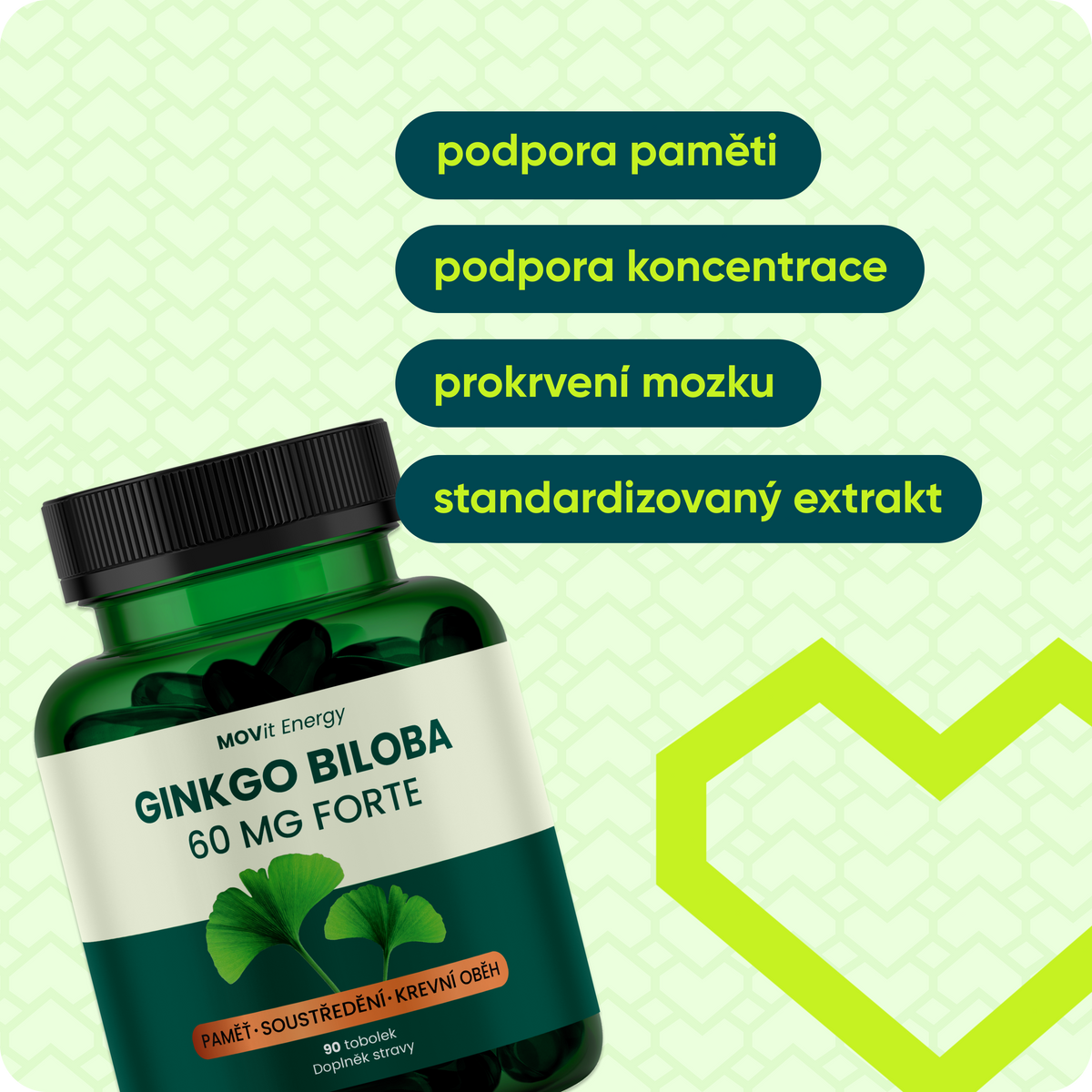 Ginkgo Biloba 60 mg FORTE, 90 tobolek