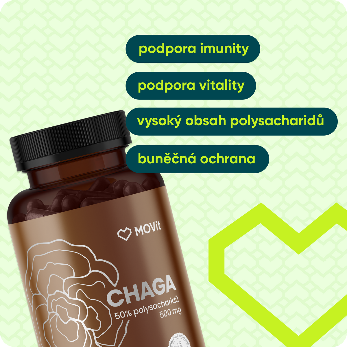 Chaga 50% polysacharidů 500 mg, 90 kapslí