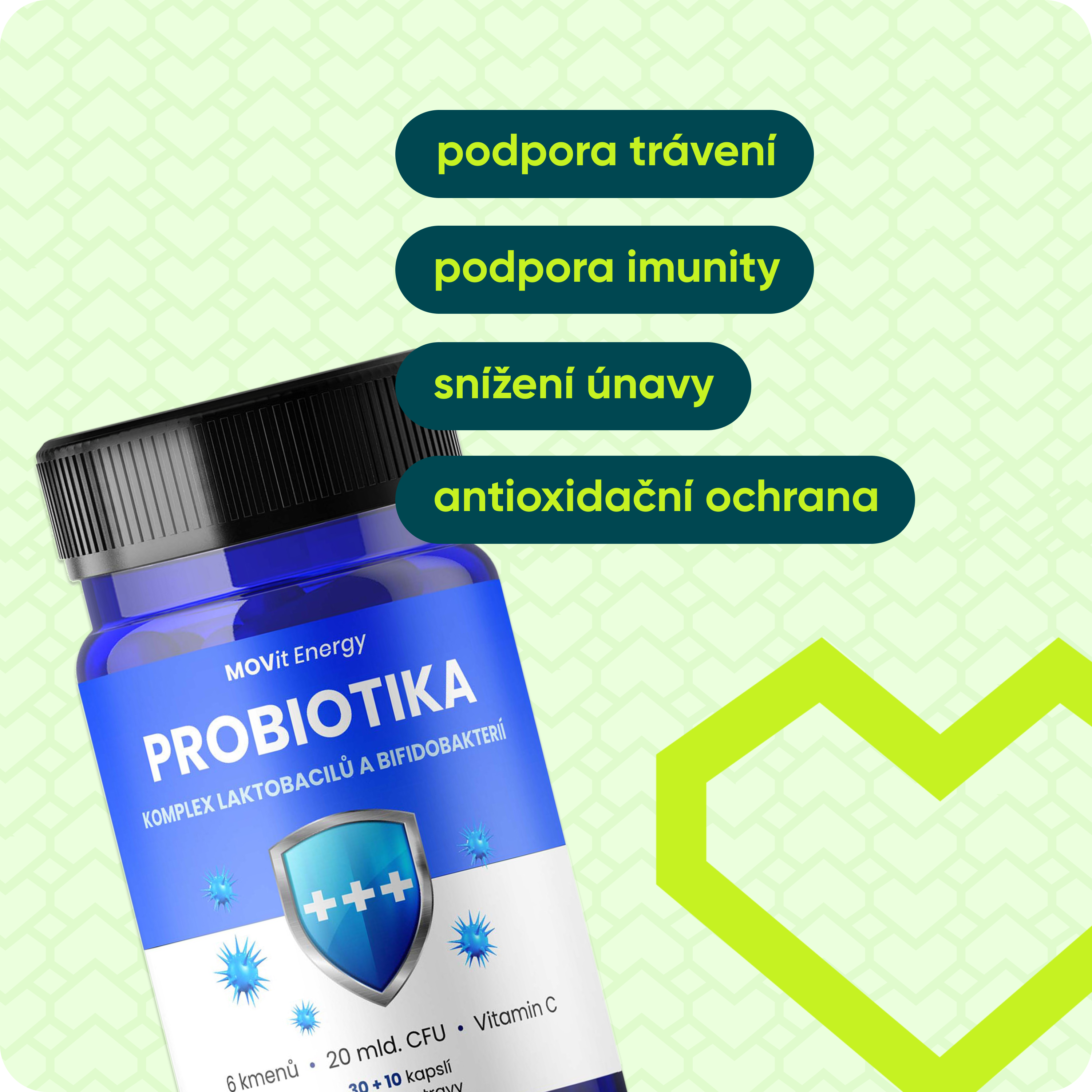 Probiotika - komplex laktobacilů a bifidobakterií 30+10 kapslí