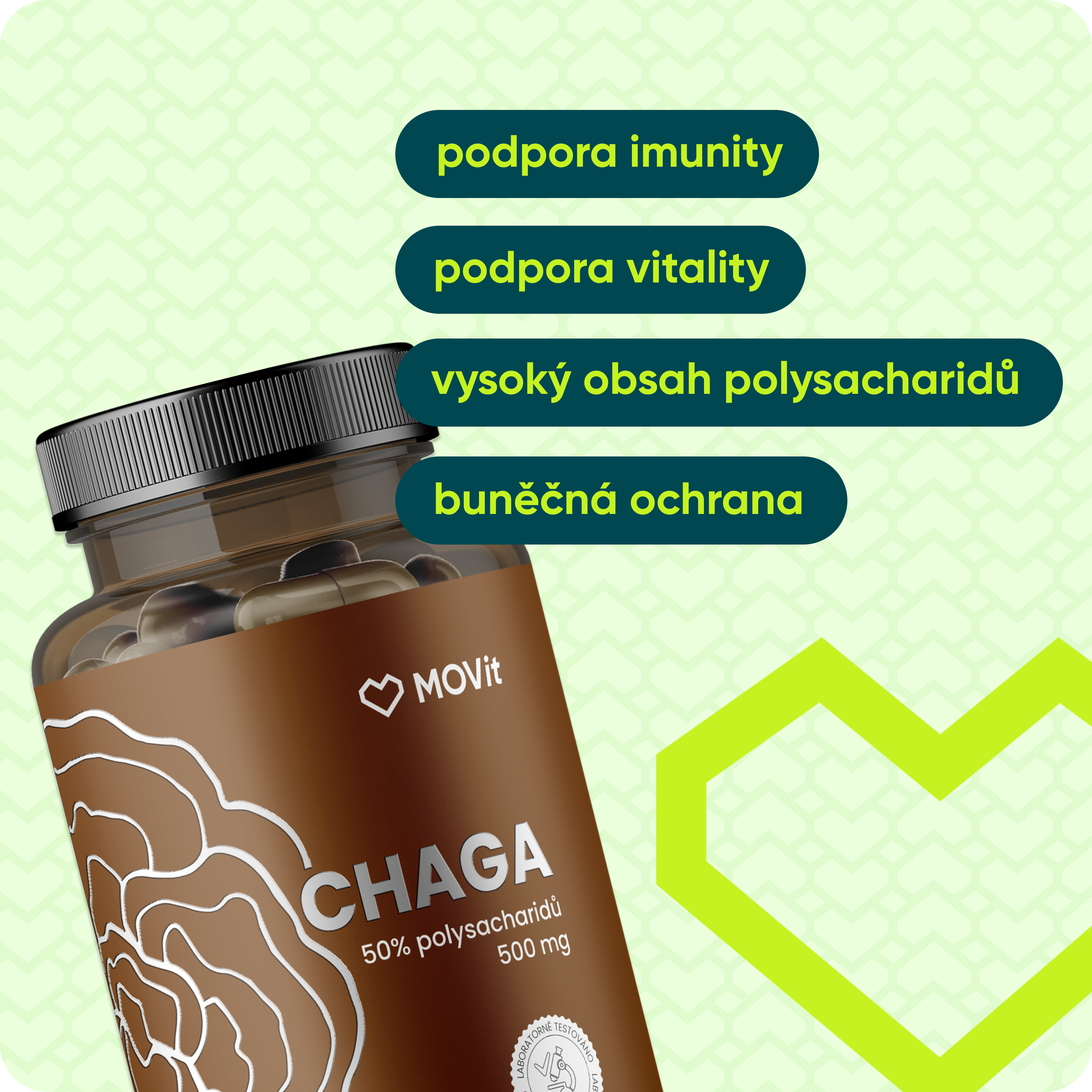 Chaga 50% polysacharidů 500 mg, 90 kapslí