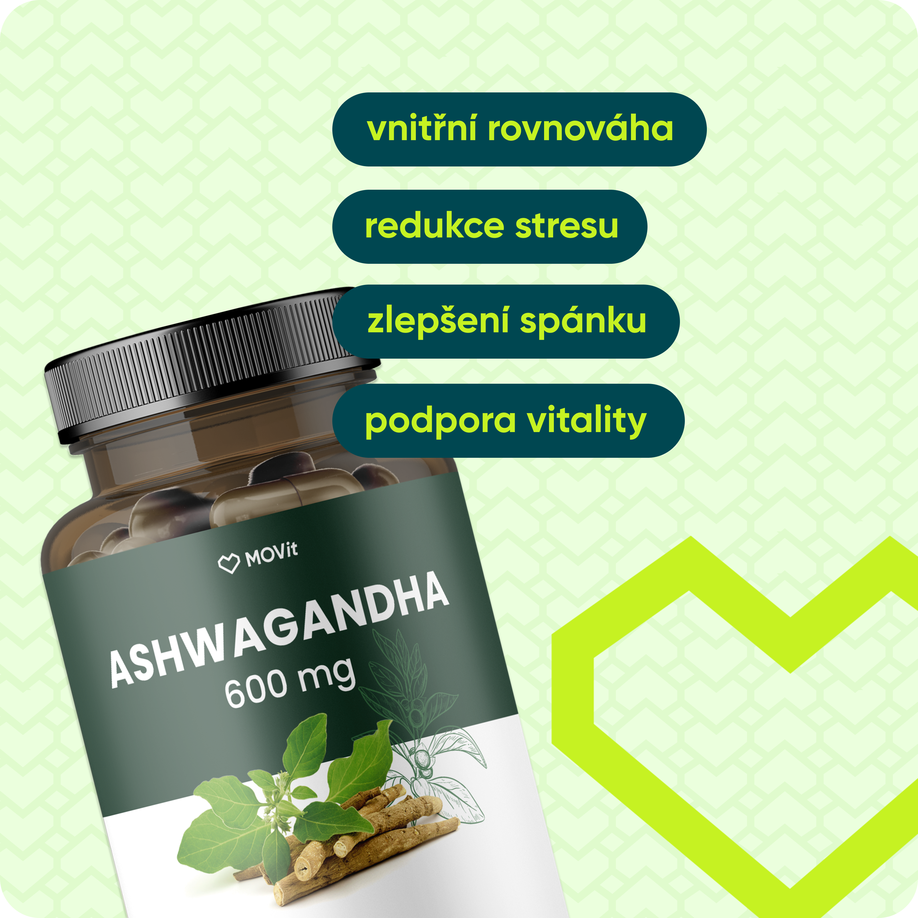 Ashwagandha 600 mg PREMIUM, 5% withanolidů, 90 kapslí