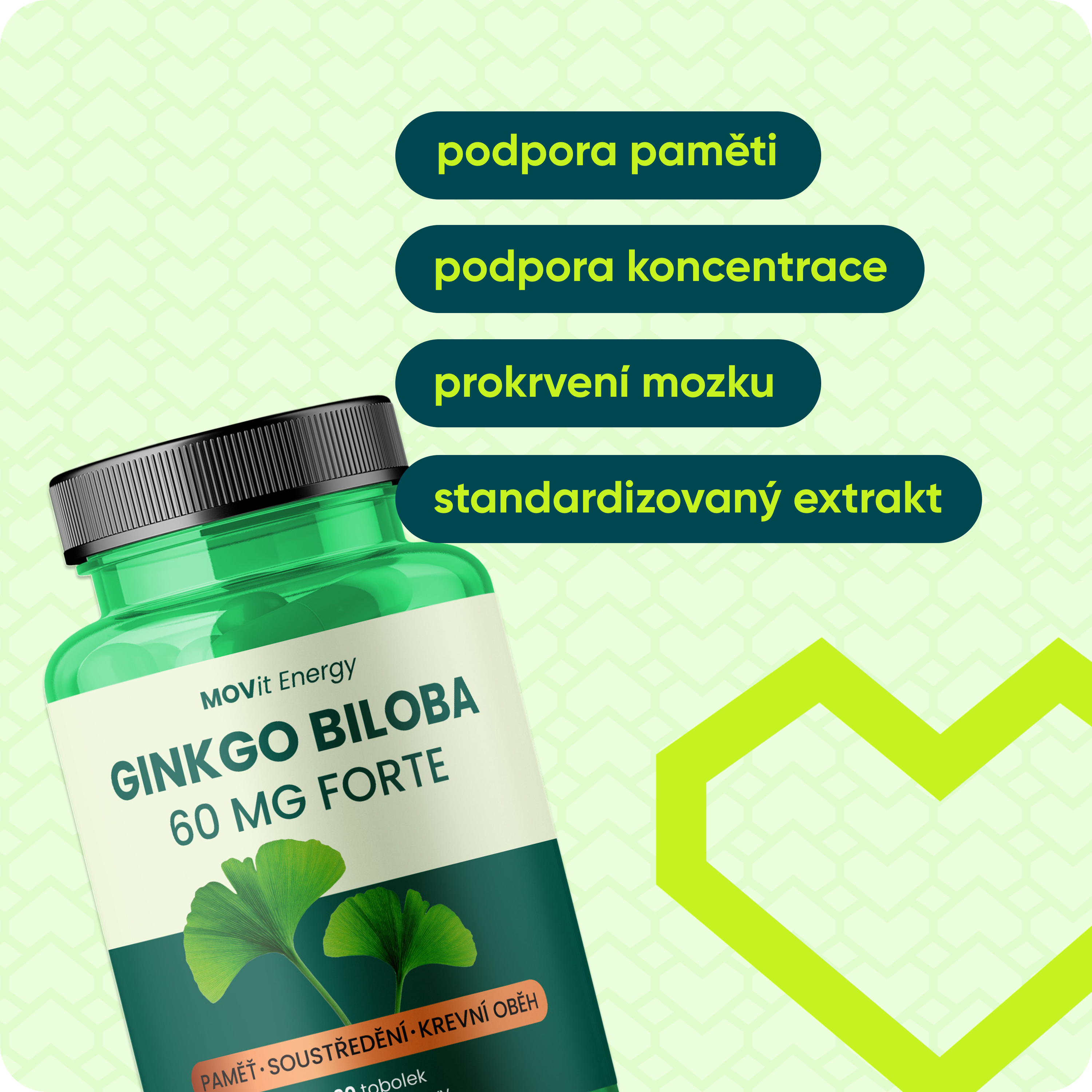 Ginkgo Biloba 60 mg FORTE, 90 tobolek