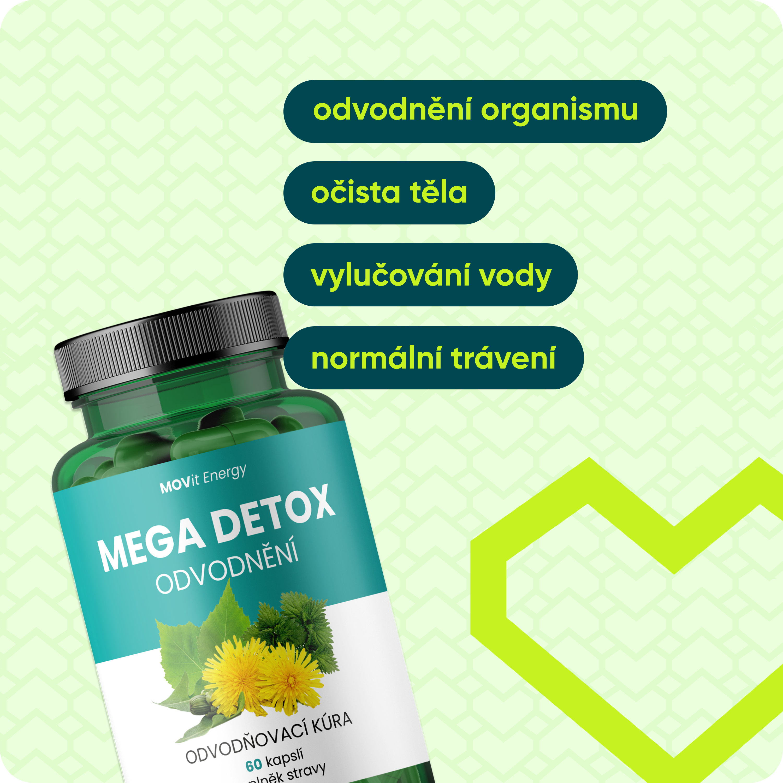 MEGA DETOX Odvodnění, 60 ks