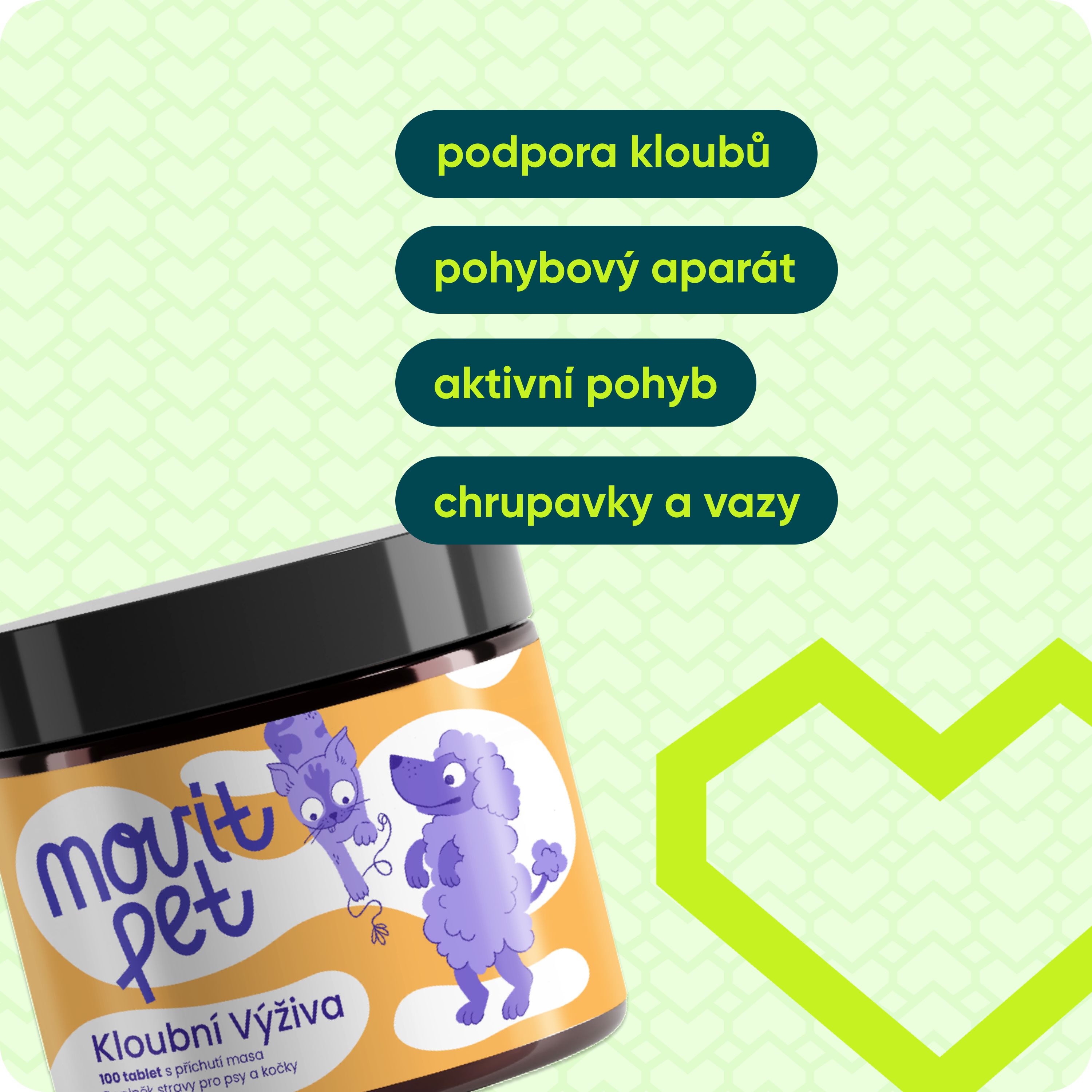 Kloubní výživa pro psy a kočky, 100 tablet s příchutí masa
