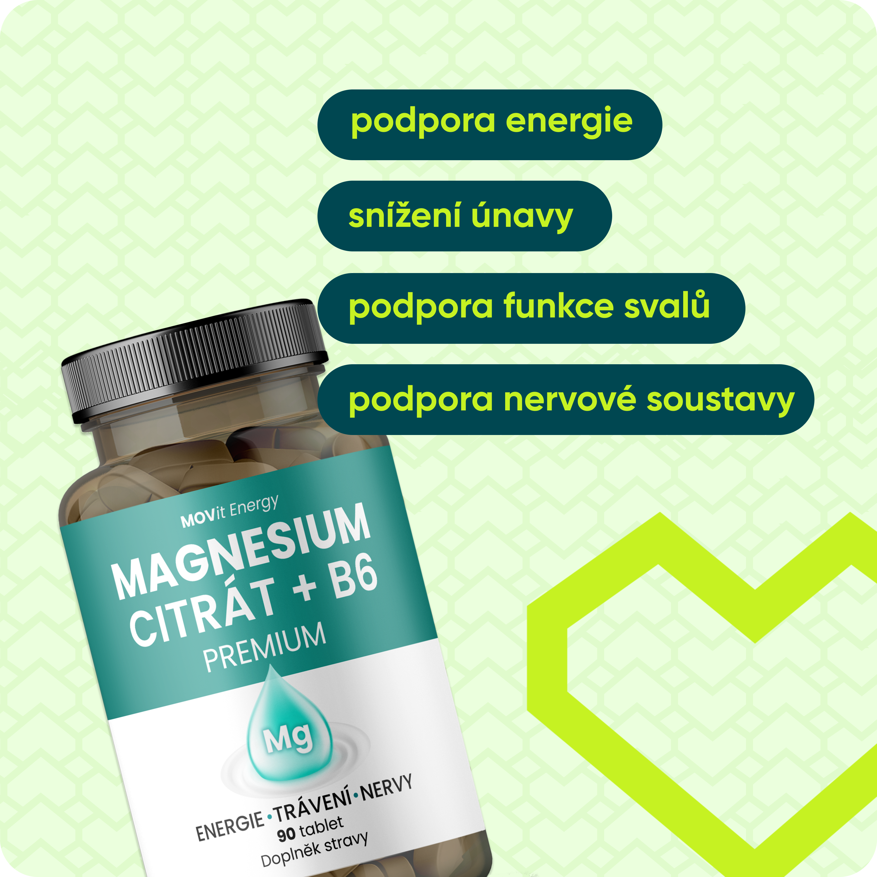 Magnesium Citrát 100 mg + B6, 90 tablet