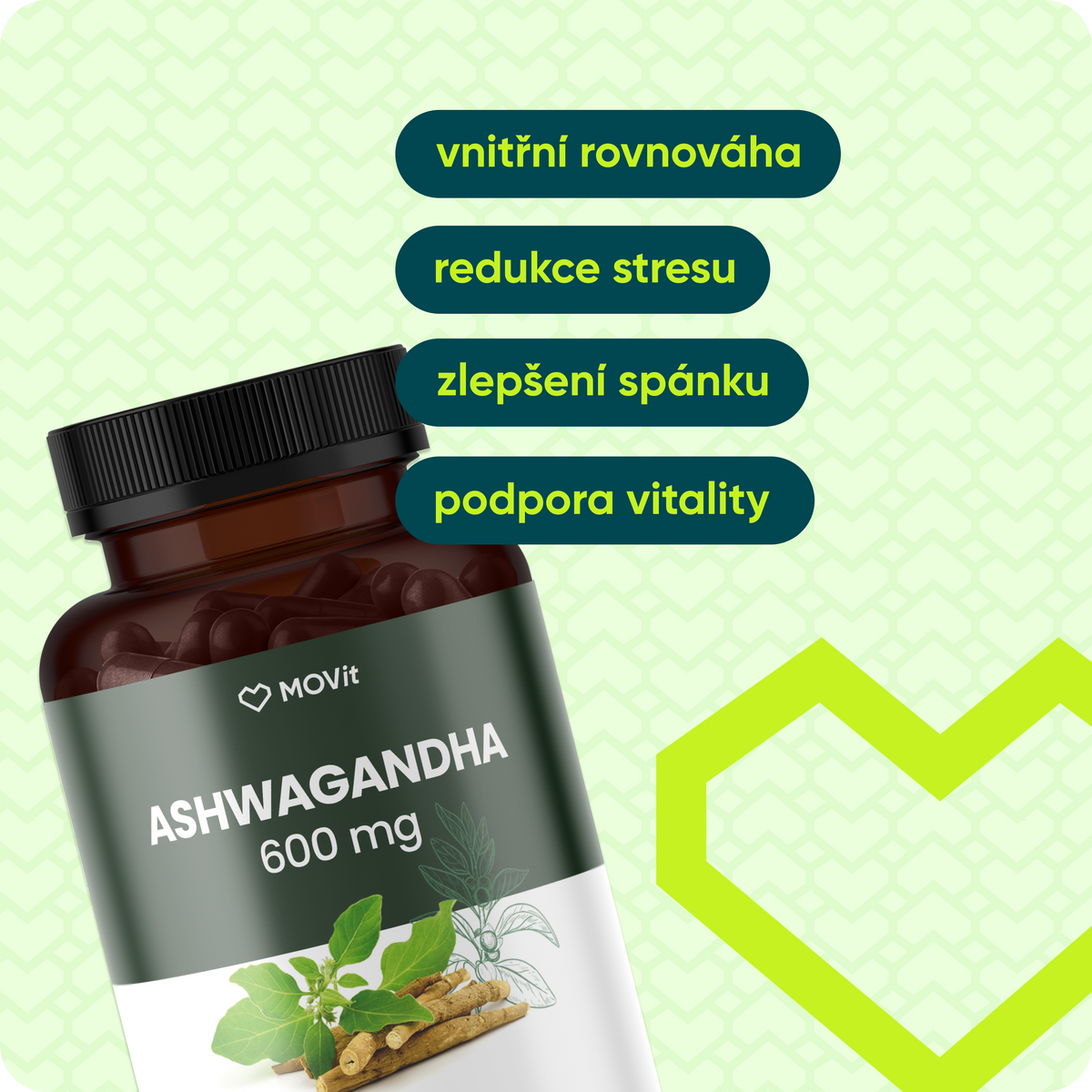 Ashwagandha 600 mg PREMIUM, 5% withanolidů, 90 kapslí