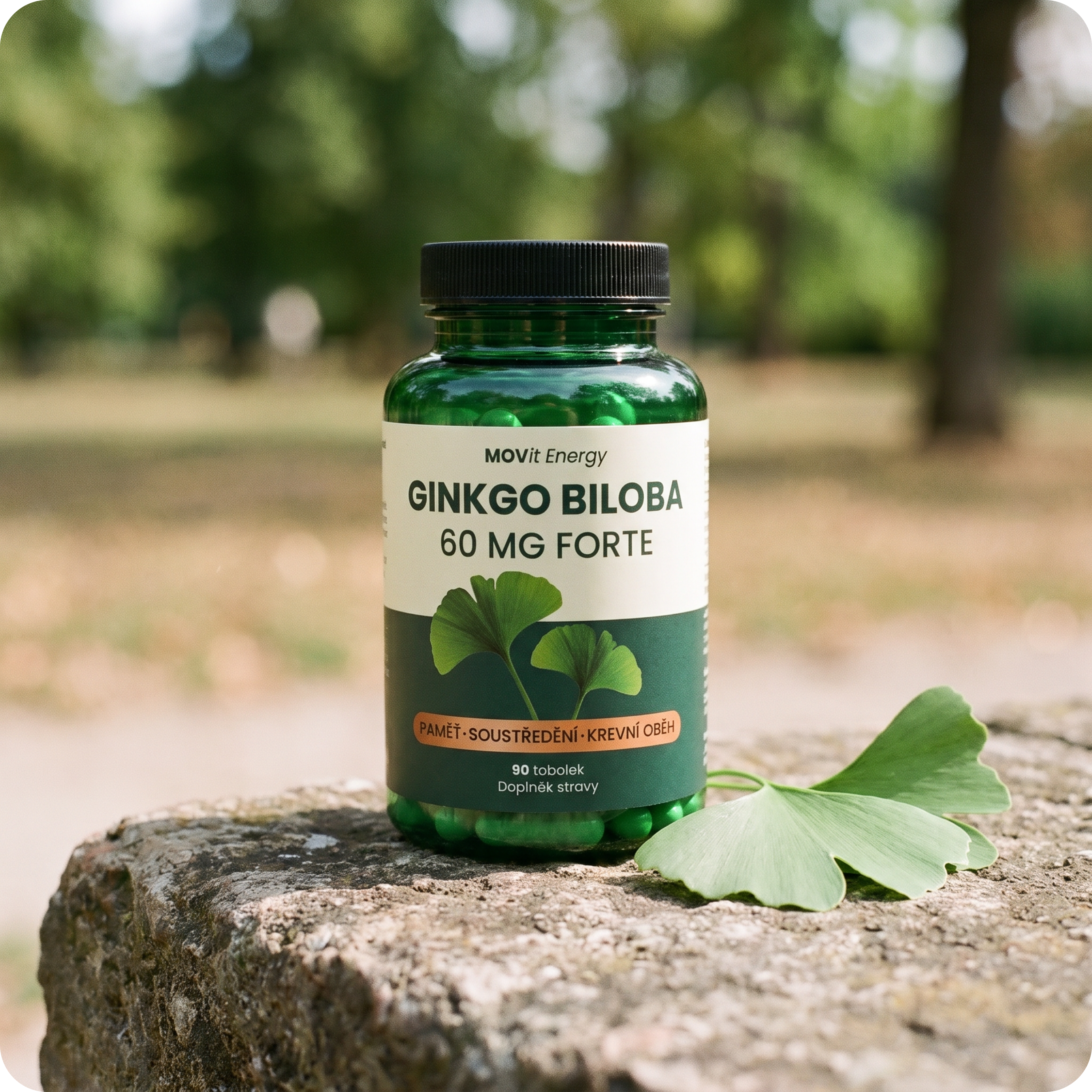 Ginkgo Biloba 60 mg FORTE, 90 tobolek