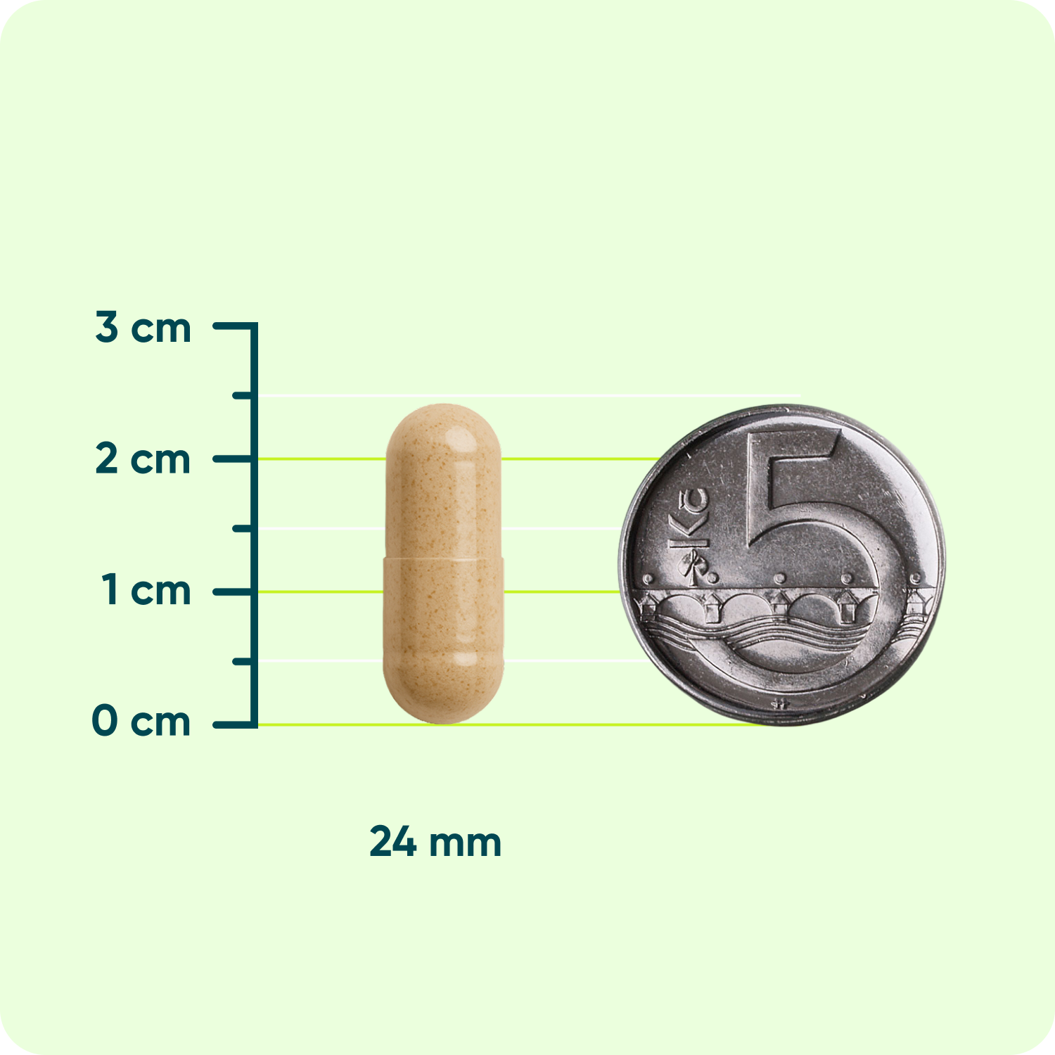Mega Detox SLIM, 60 kapslí