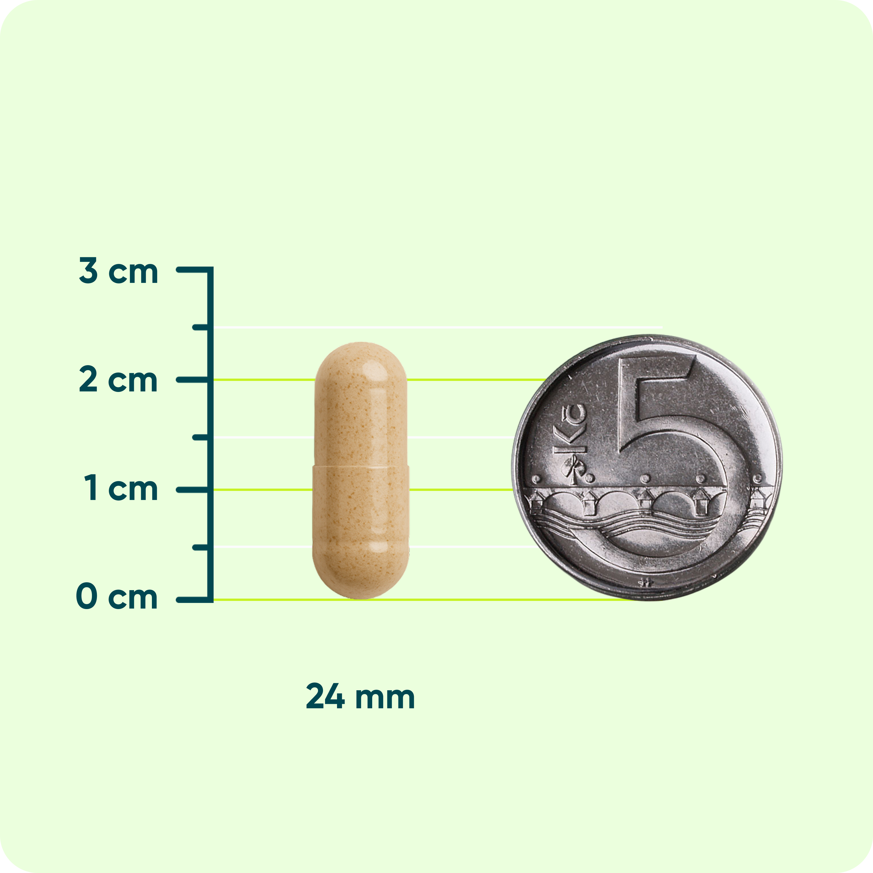 MOVit Longevity Ashwagandha 600 mg, 5% withanolidů, 60 kapslí