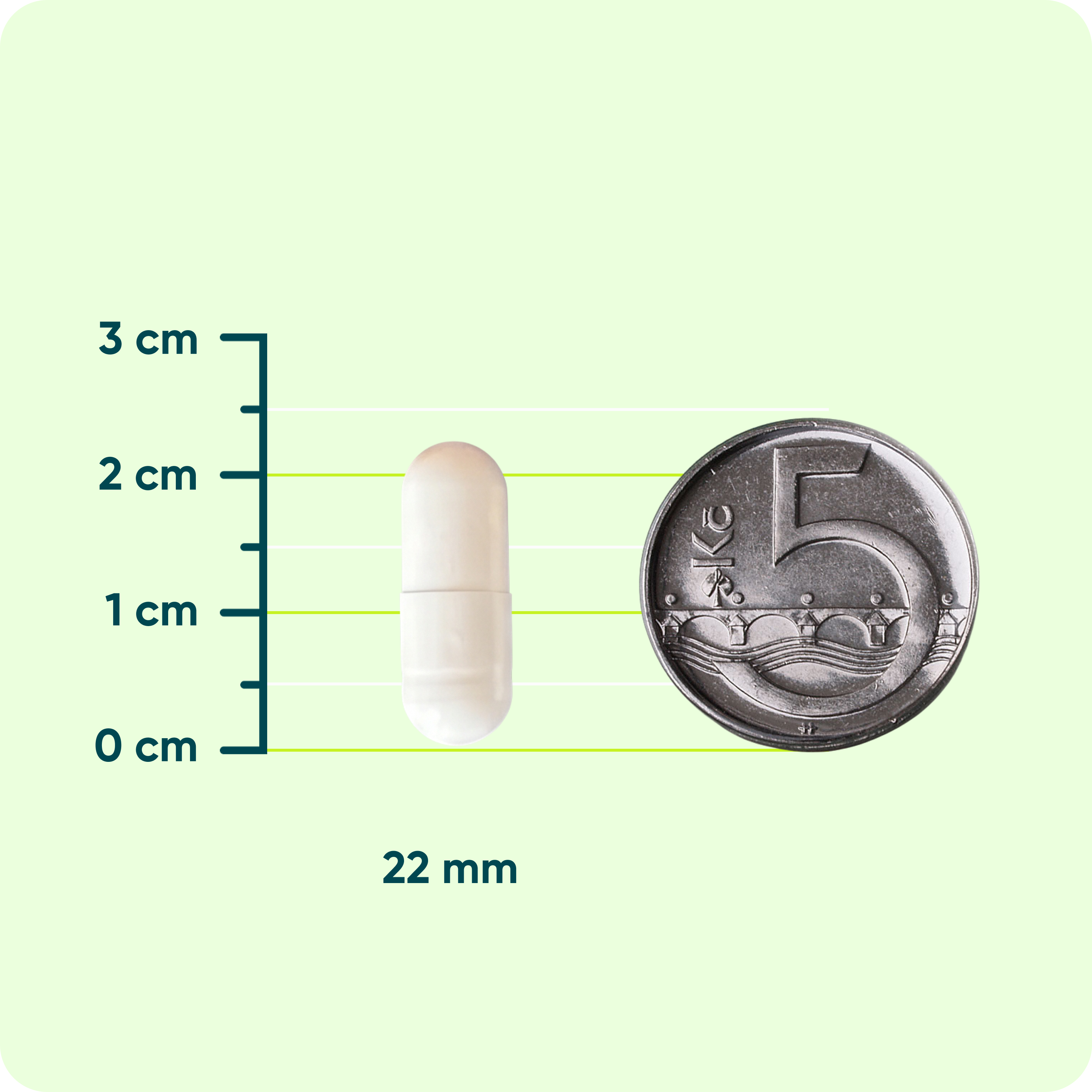 Vitamin K2 MK-7 60 mcg, 90 kapslí