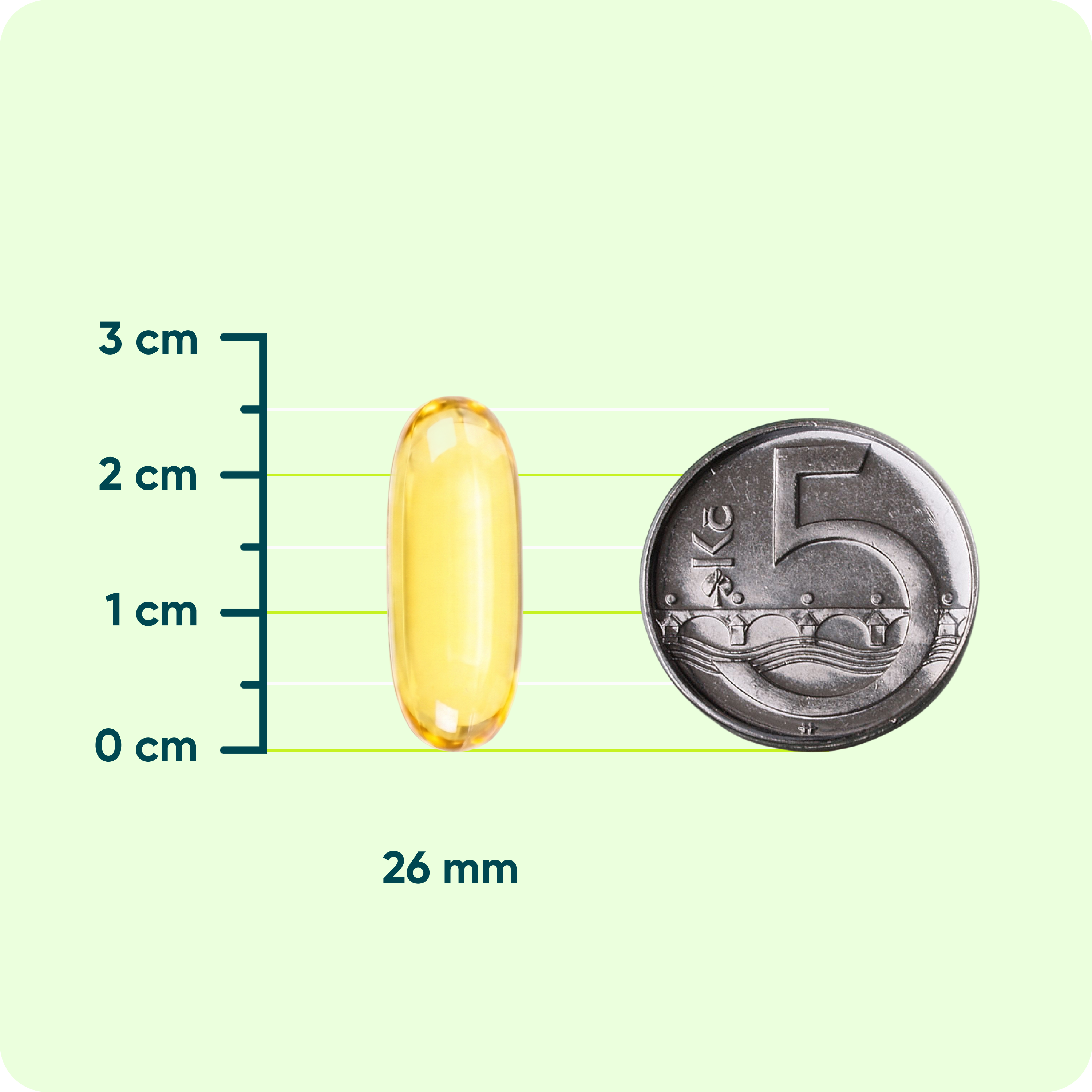 Pupalka dvouletá 1000 mg + Vitamin E, 90 tobolek