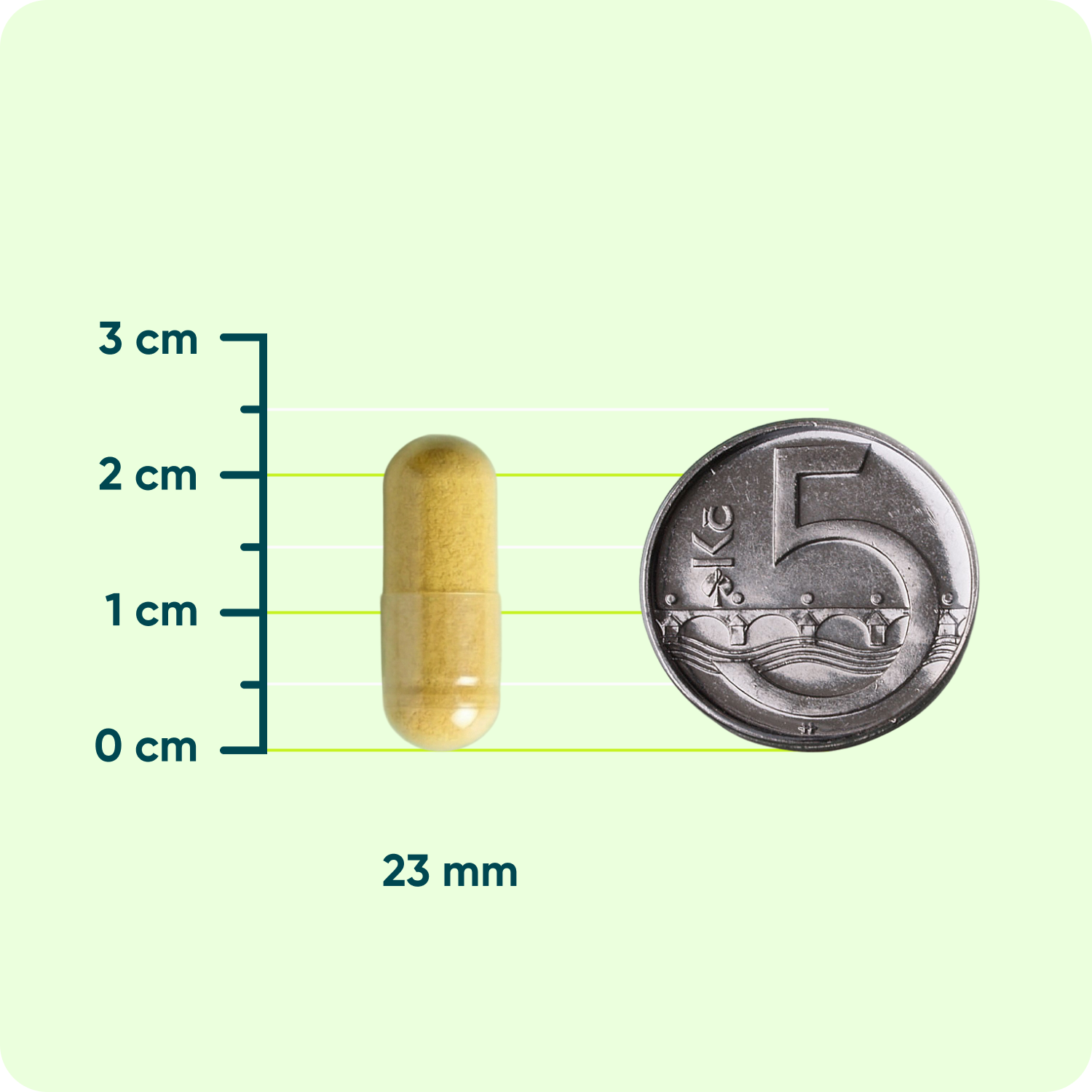 Lipozomální Vitamin C 500 mg, 60 kapslí