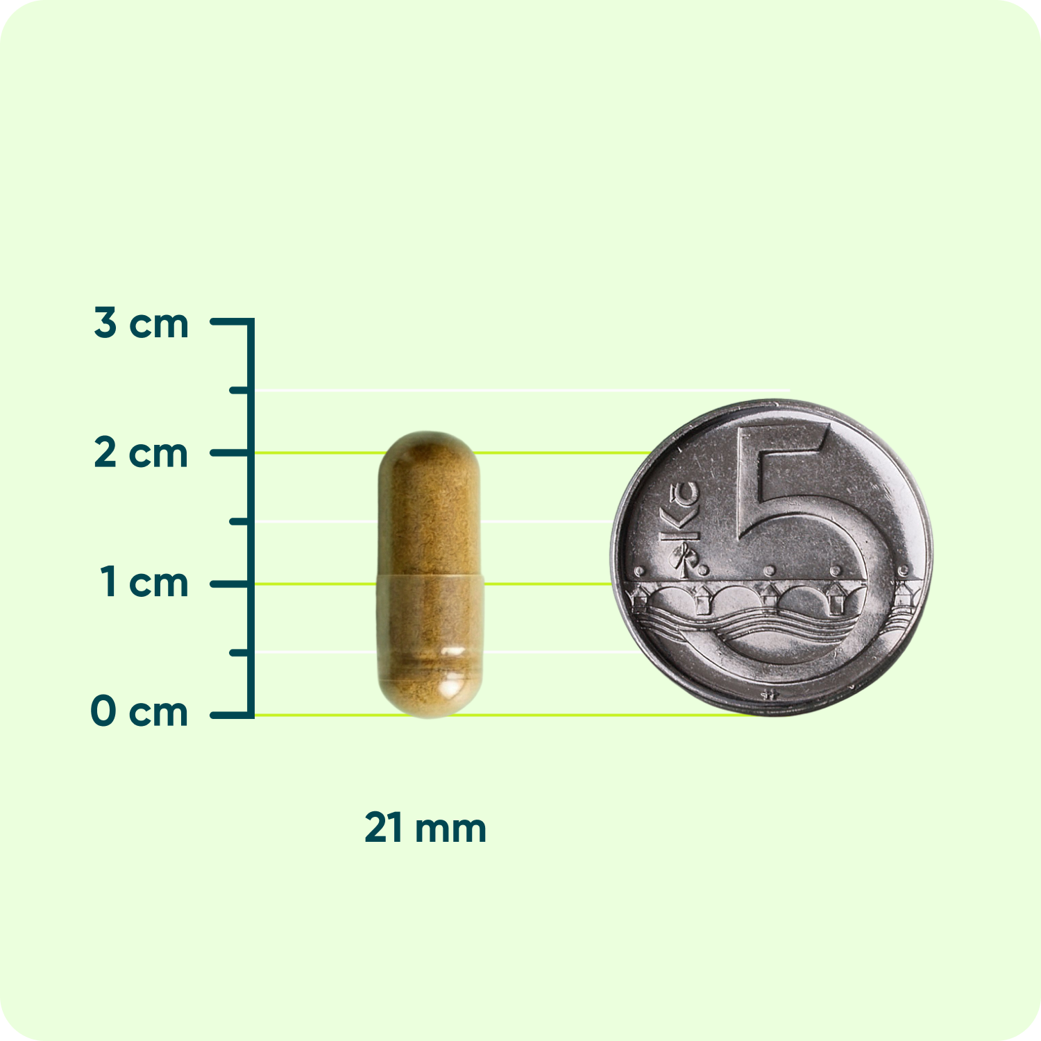 Černý Česnek 500 mg, 90 kapslí