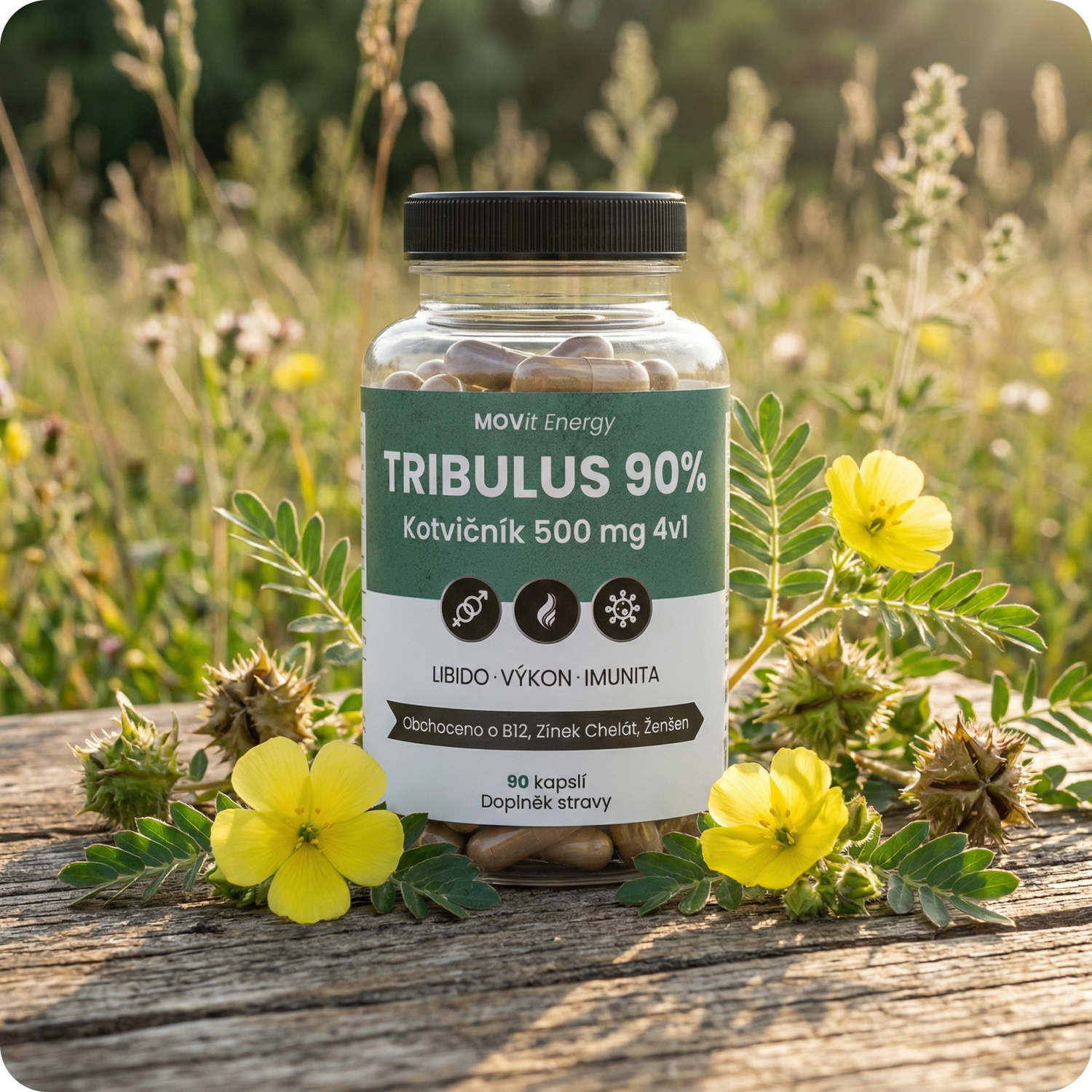 TRIBULUS 90% Kotvičník 500 mg 4v1, 90 kapslí