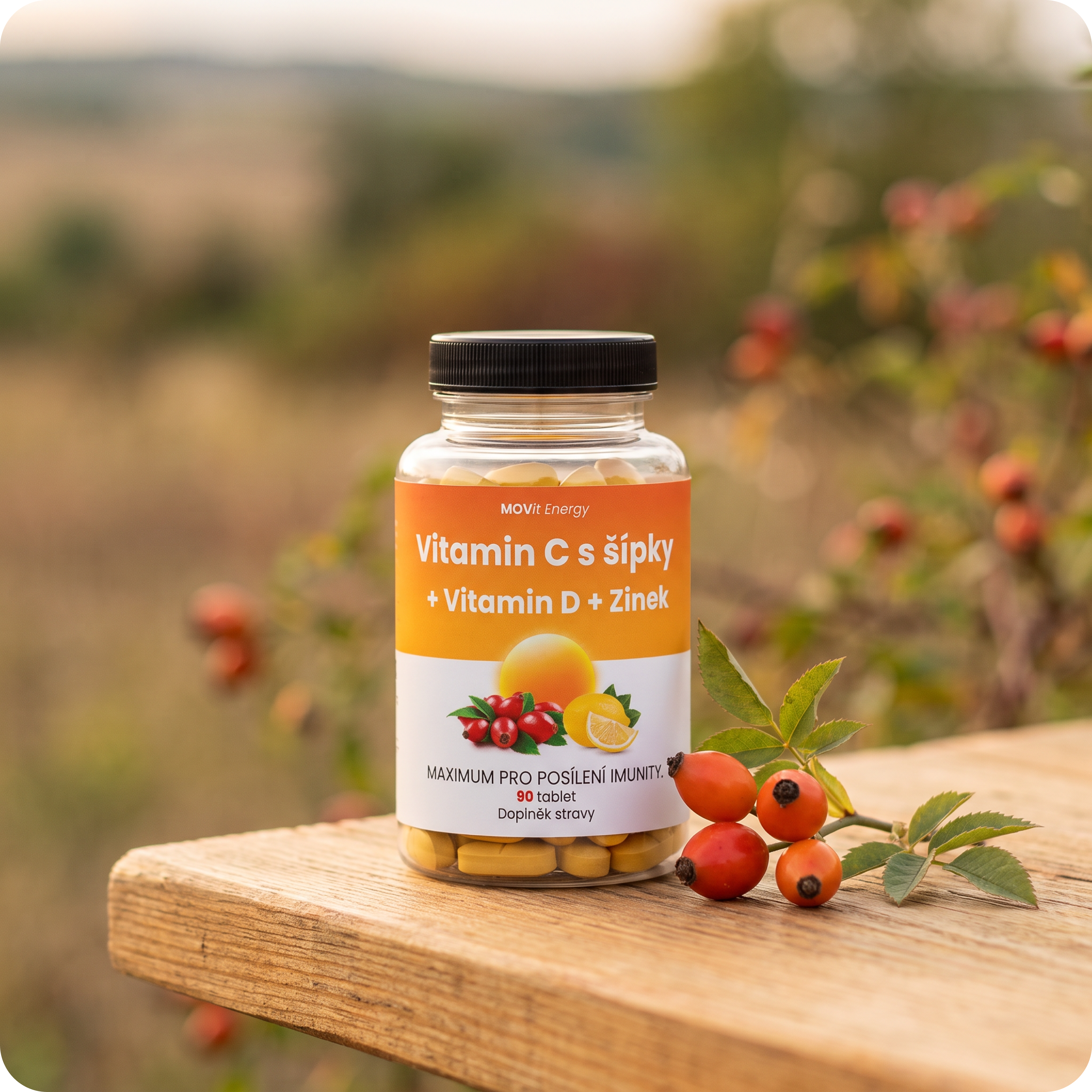 Vitamín C 1200 mg s šípky + Vitamin D + Zinek PREMIUM, 90 tablet
