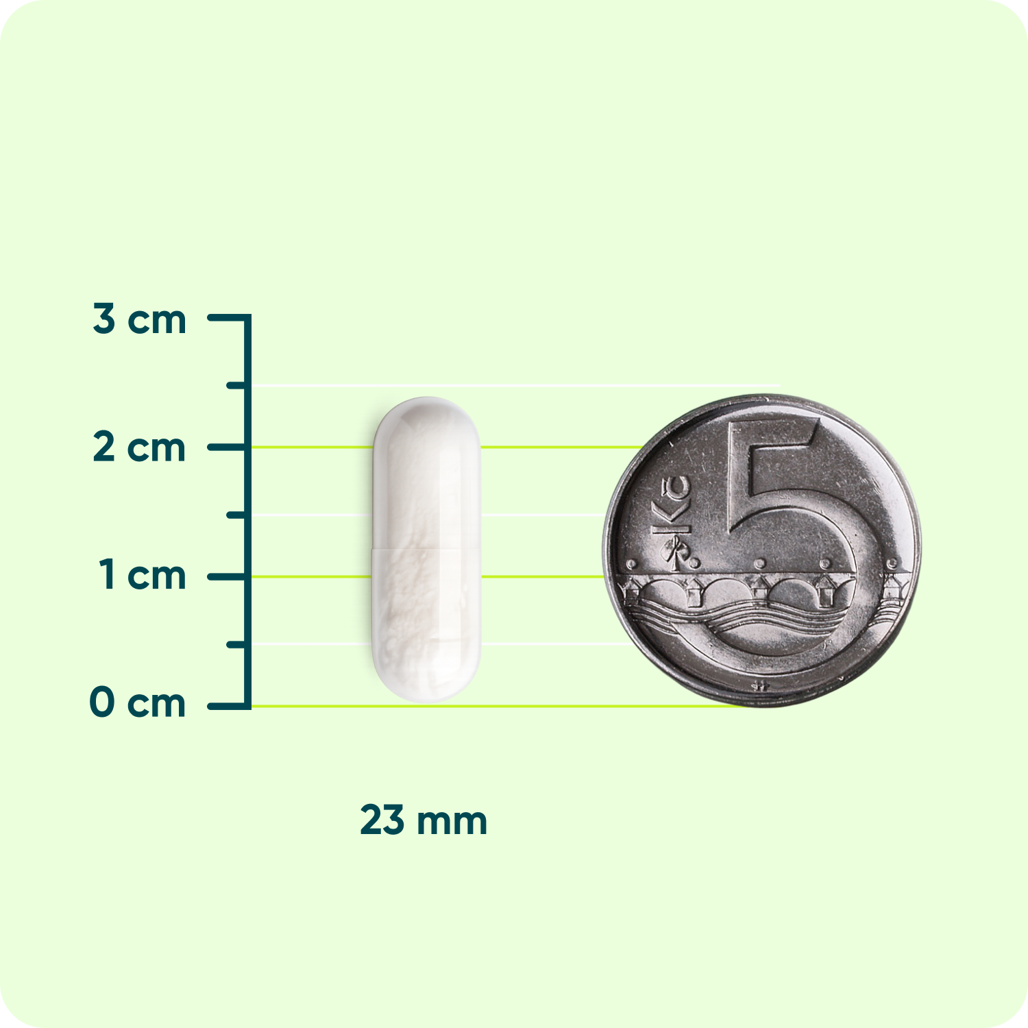 Hořčík B6 Chelát 100 mg, 30 veganských kapslí