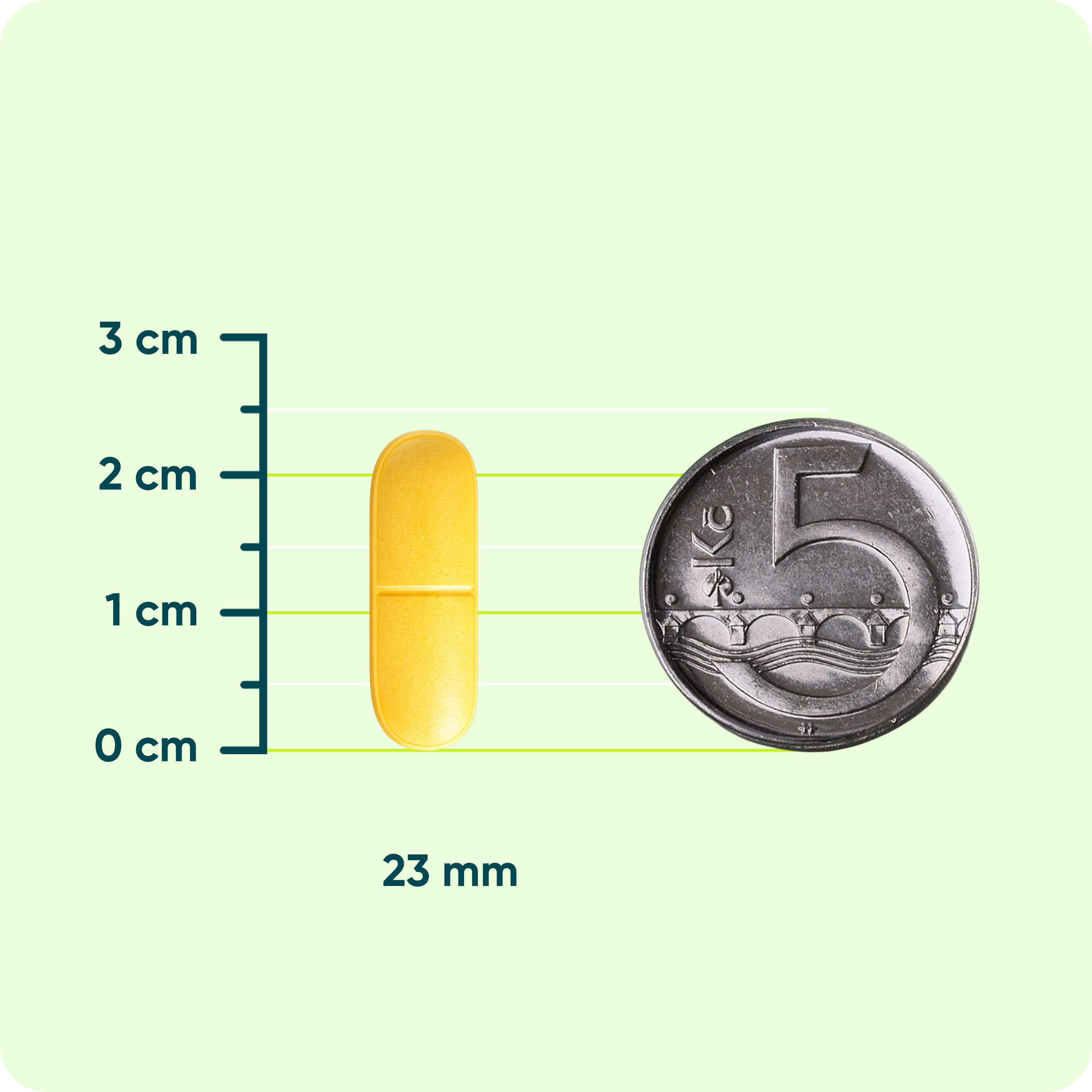Vitamín C 1200 mg s šípky + Vitamín D + Zinek PREMIUM, 30 tablet
