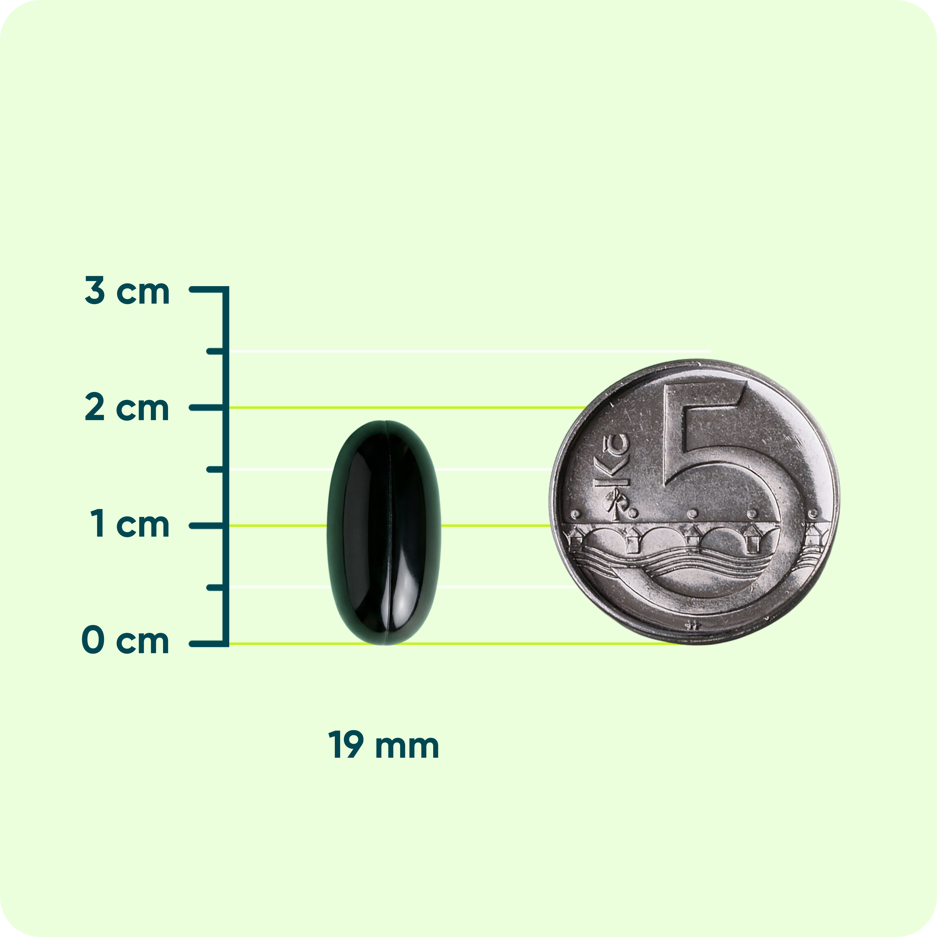 Ginkgo Biloba 60 mg FORTE, 90 tobolek