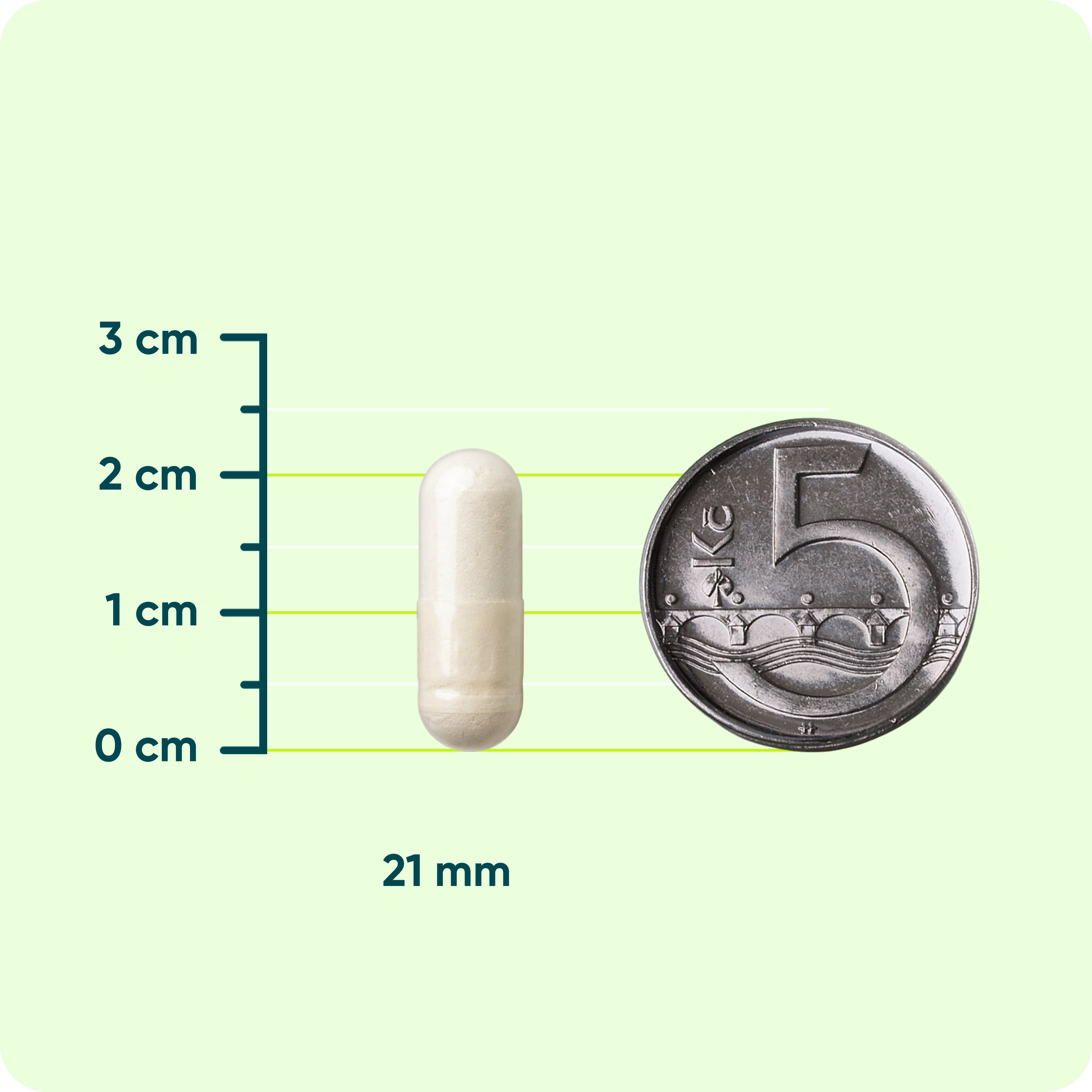 Probiotika EXTRA STRONG, 30 kapslí