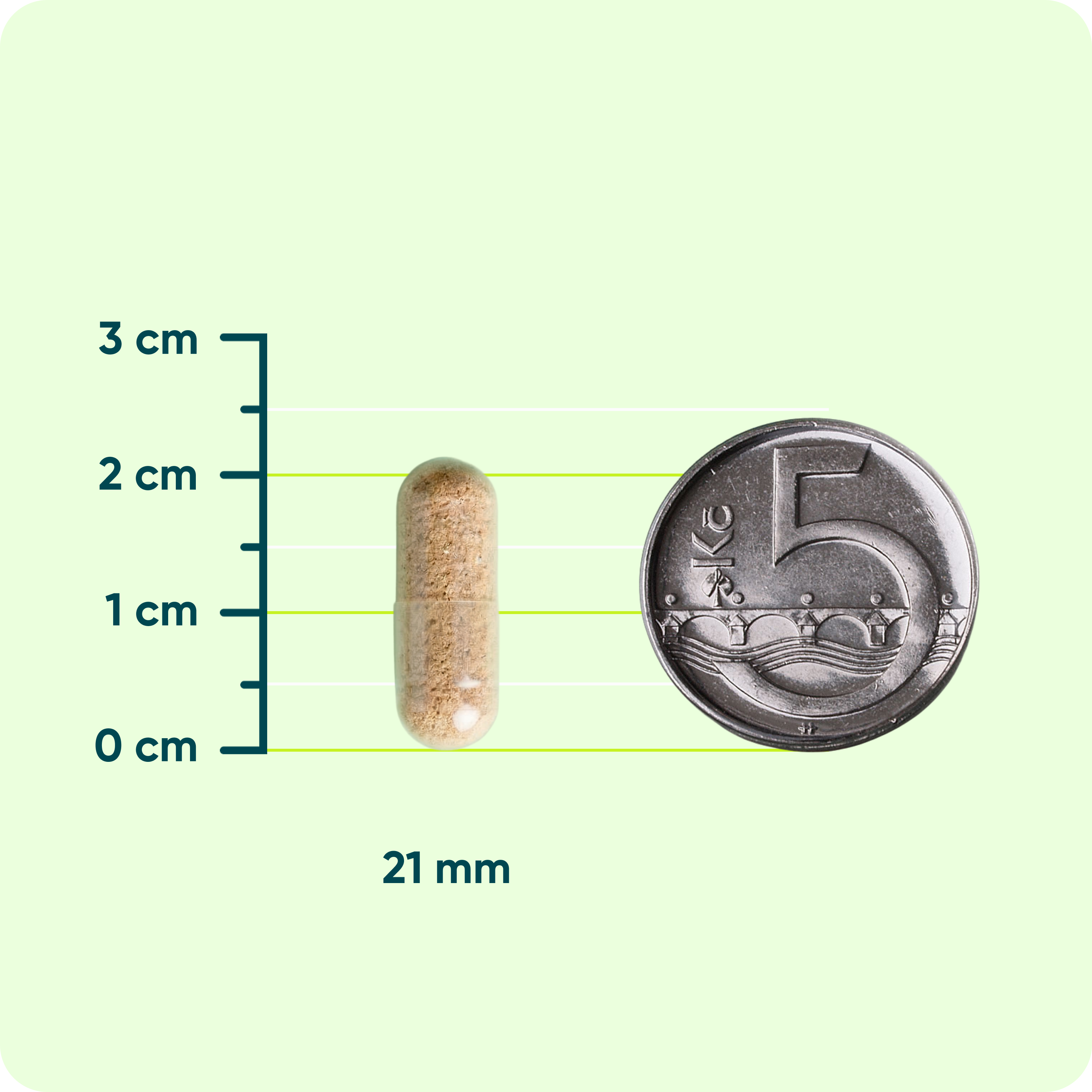Probiotika SKIN CARE, 90 kapslí