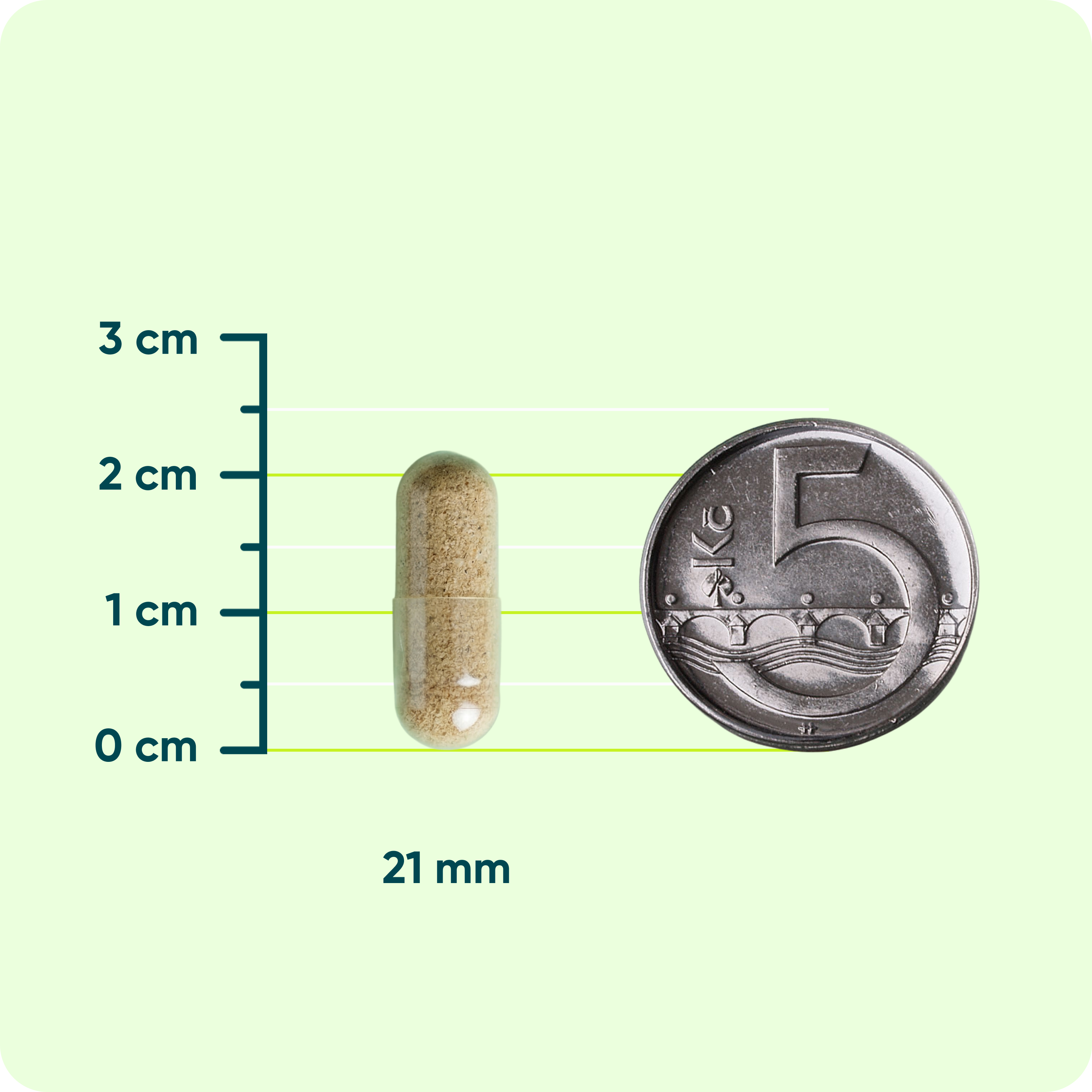 Probiotika ACTIVE MAN, 90 kapslí