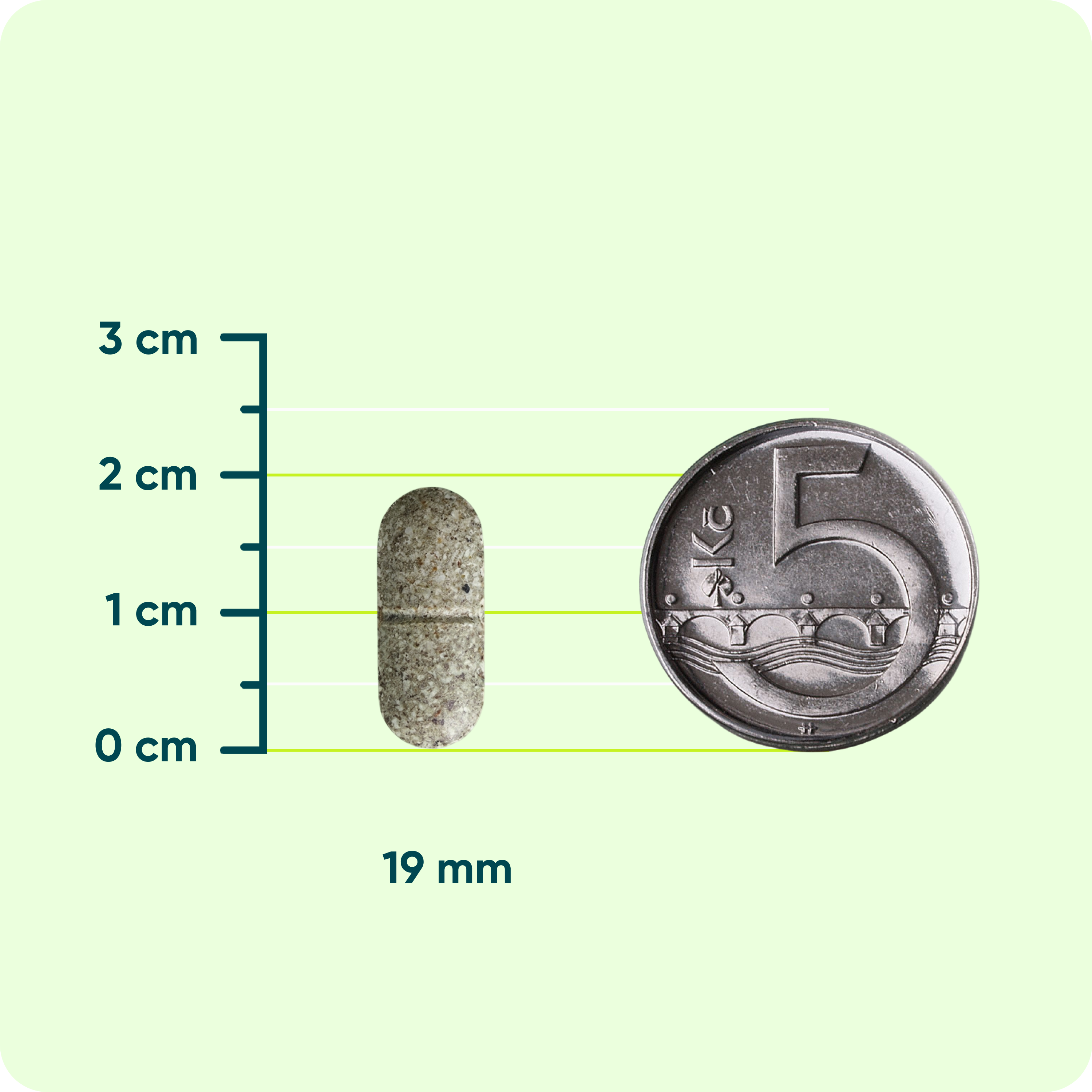 Dr. Booster - paměť, soustředění, energie, 60 veganských tablet
