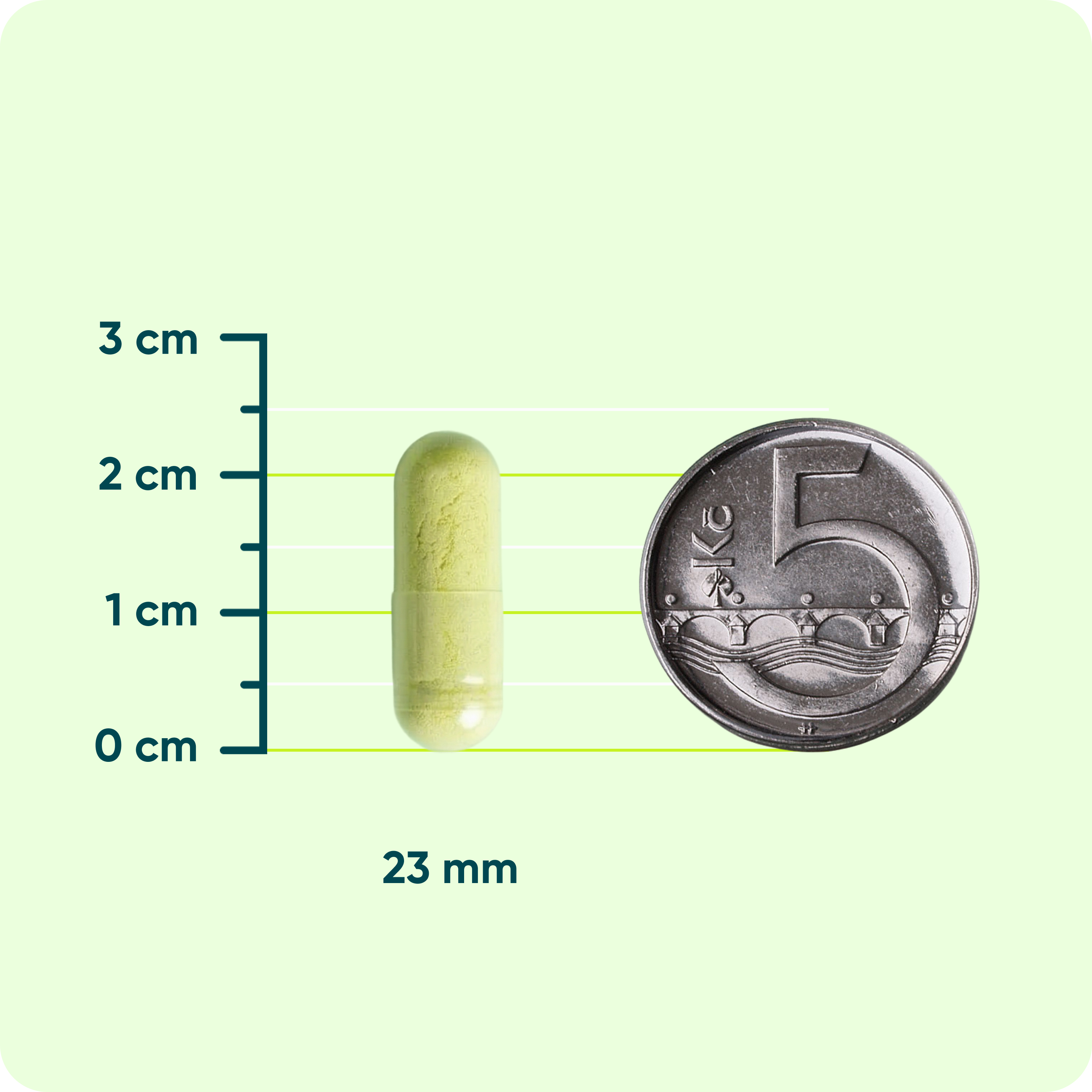 MOVit Longevity Fisetin 500 mg, 60 kapslí