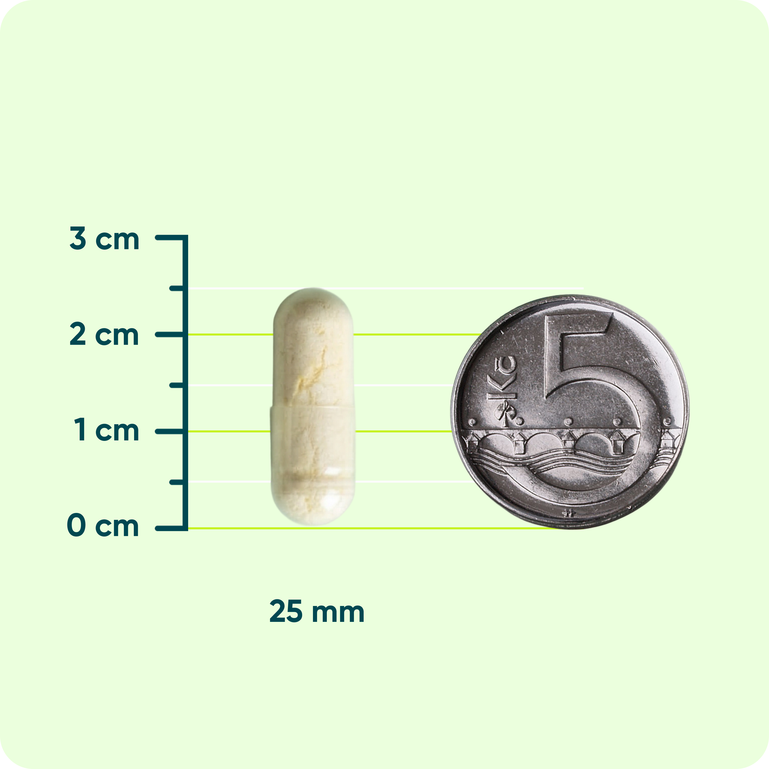 L-Tryptofan 500 mg, 90 kapslí