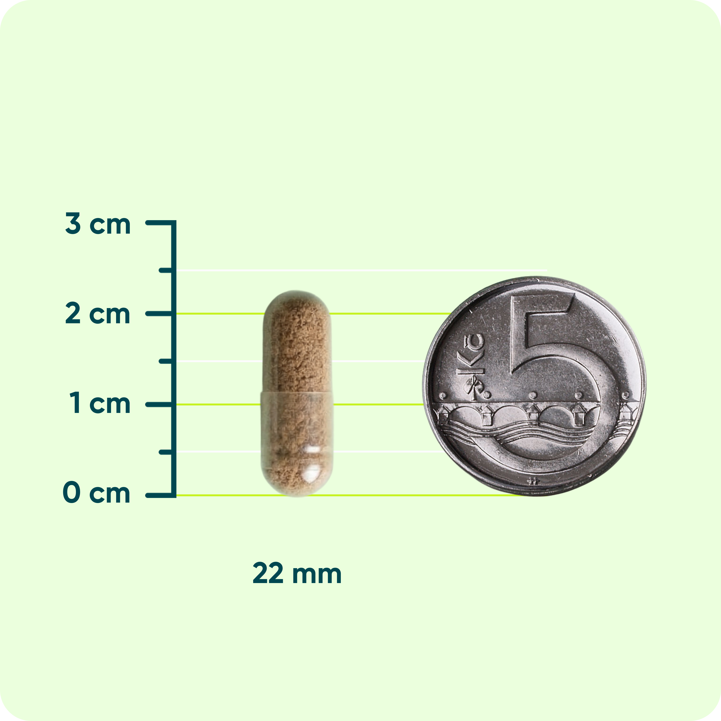 Sleep Complex L-Theanin + Hořčík + Bylinné extrakty, 90 kapslí