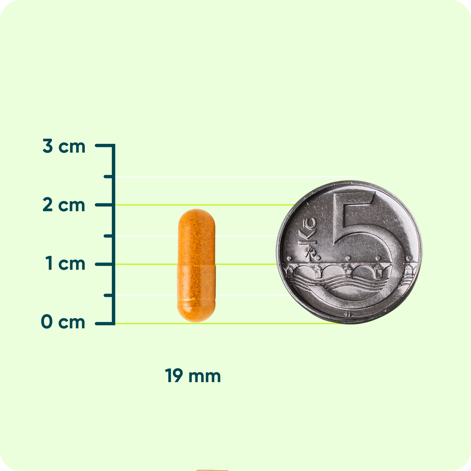 Kurkumin Extrakt 95 % + Piperin, 60 kapslí