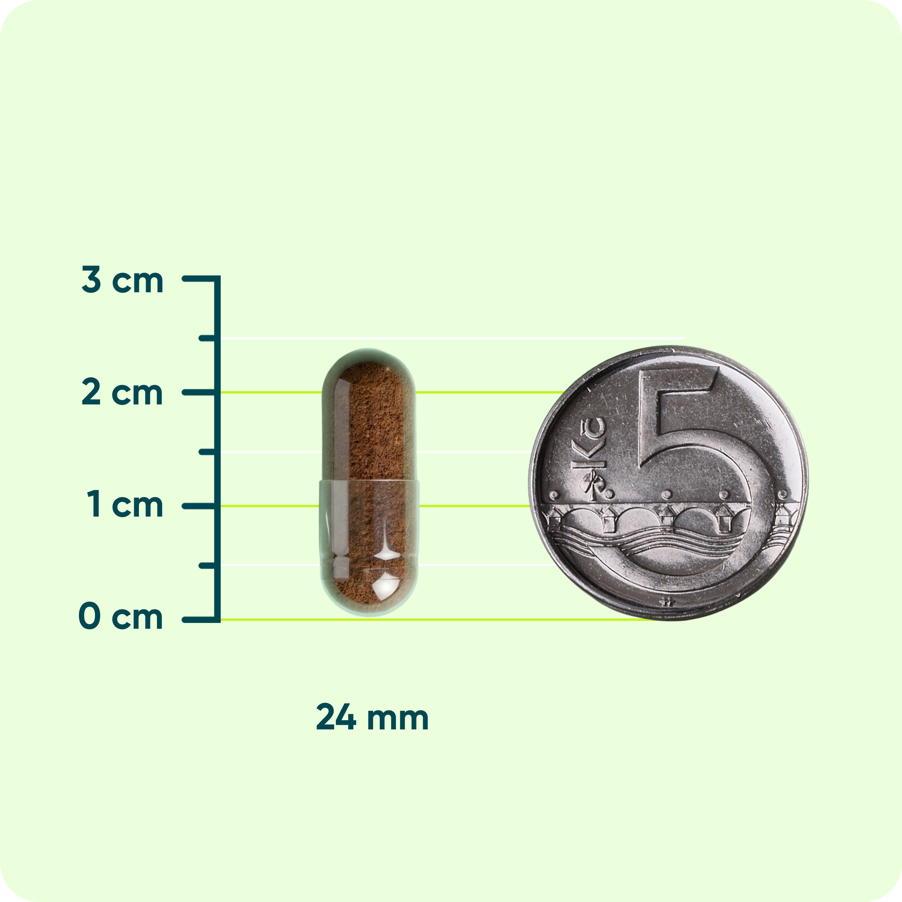 Chaga 50% polysacharidů 500 mg, 90 kapslí