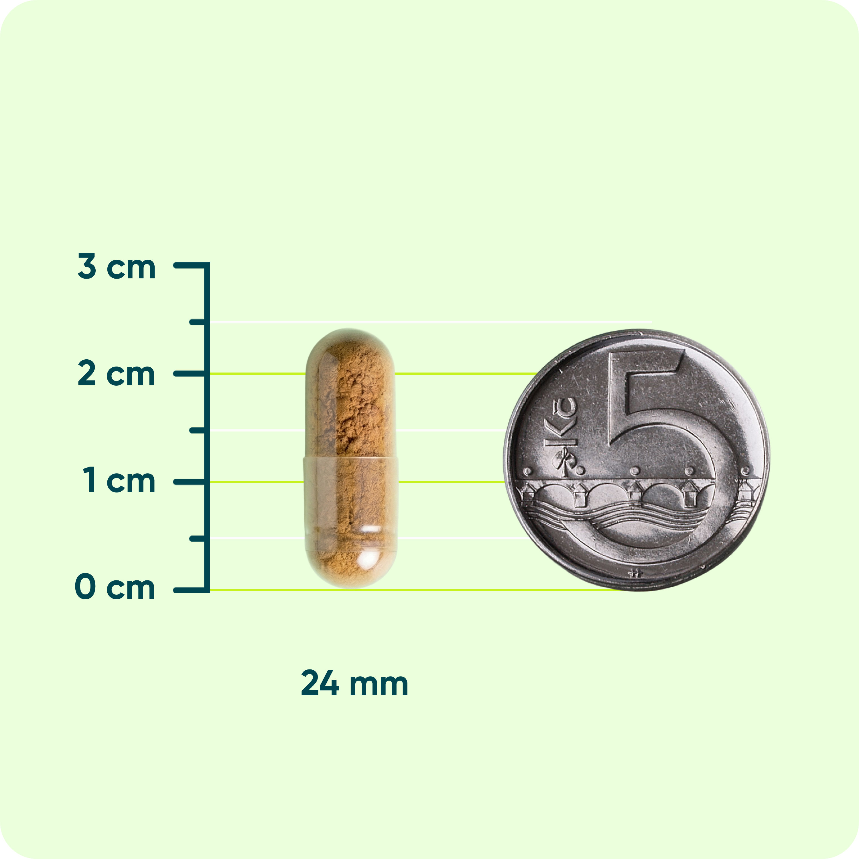Hericium - Lion's mane 50% polysacharidů 500 mg, 90 kapslí