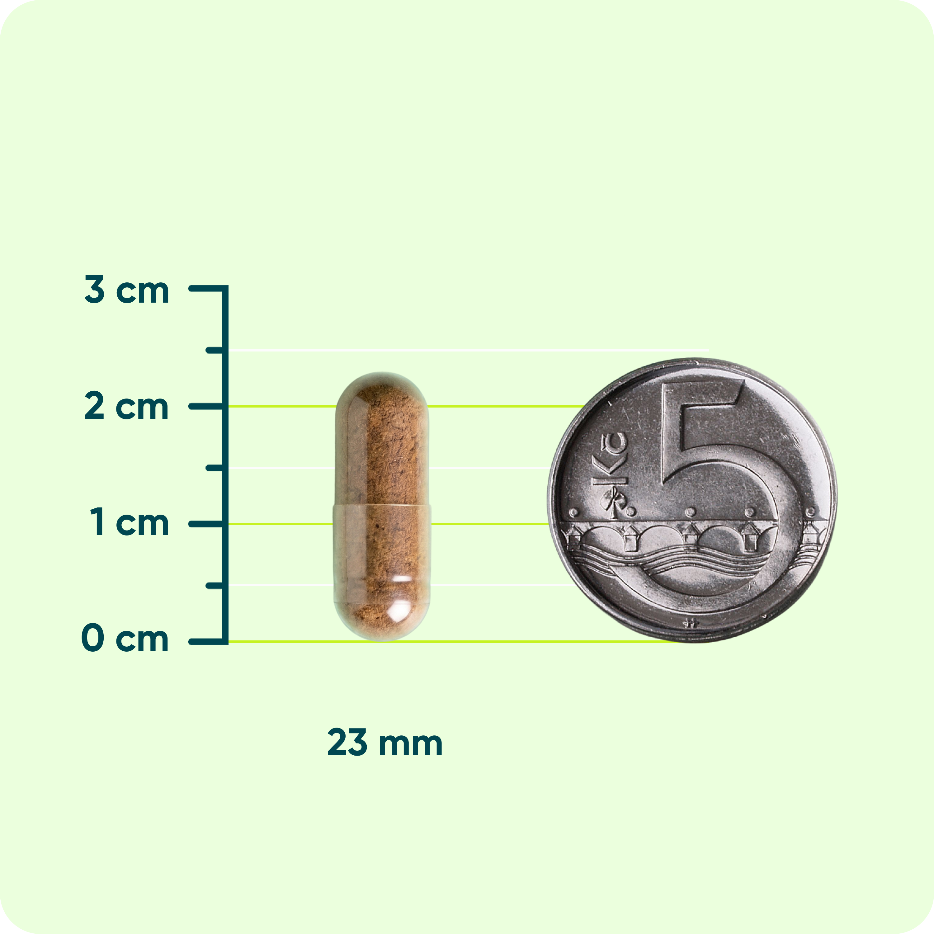 Ashwagandha 600 mg PREMIUM, 5% withanolidů, 90 kapslí