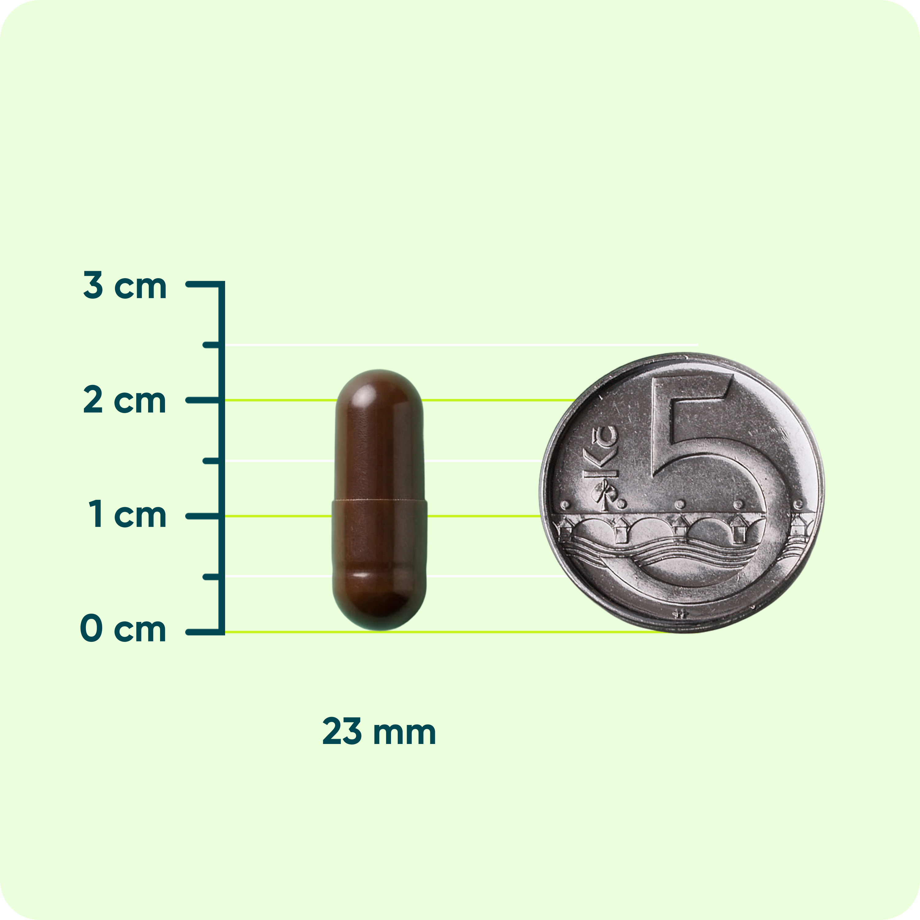 BetaGlukan 350 mg + Vitamin C, D3, Zinek PREMIUM, 60 kapslí