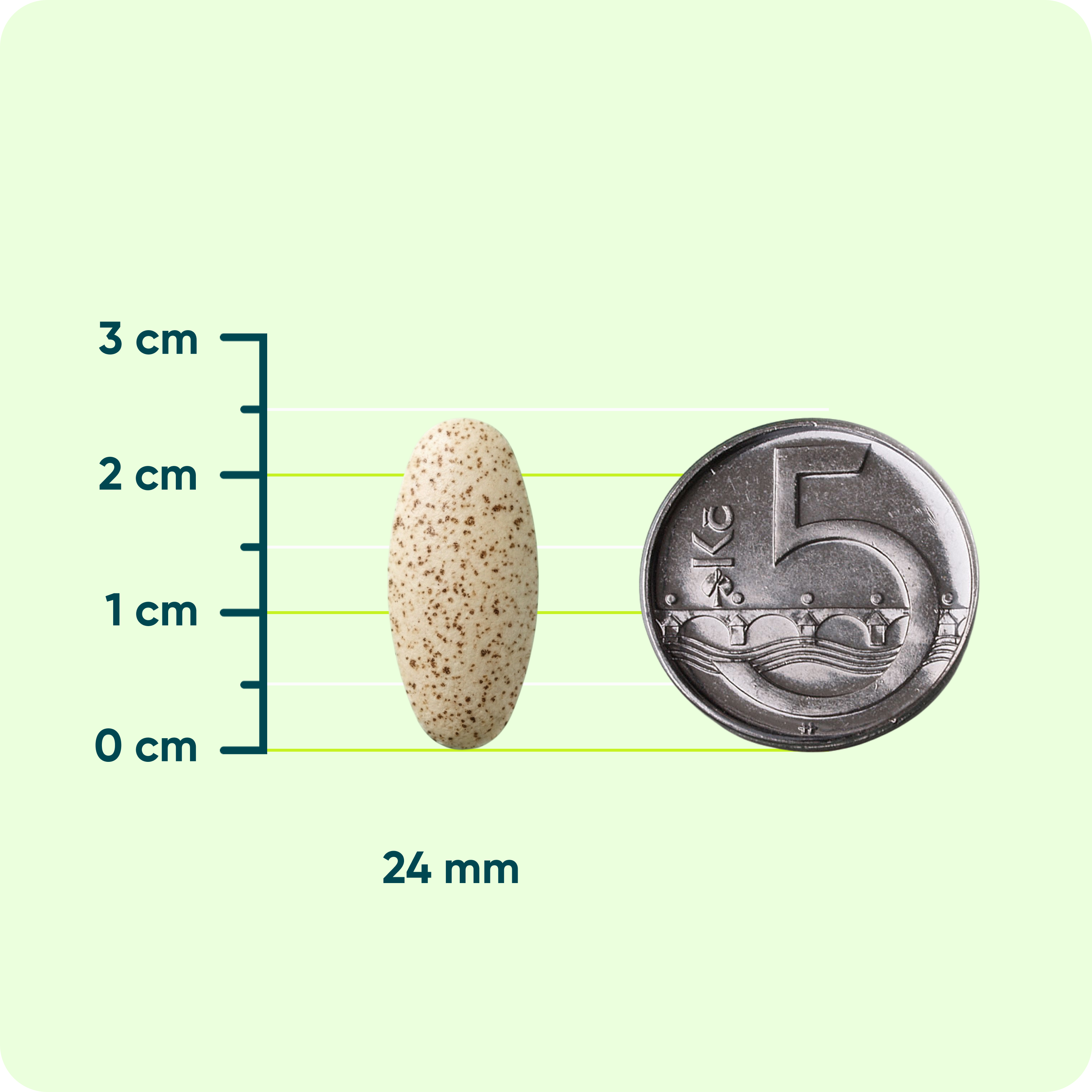 AntiHerp L-Lysin + Zinek, 30 tablet