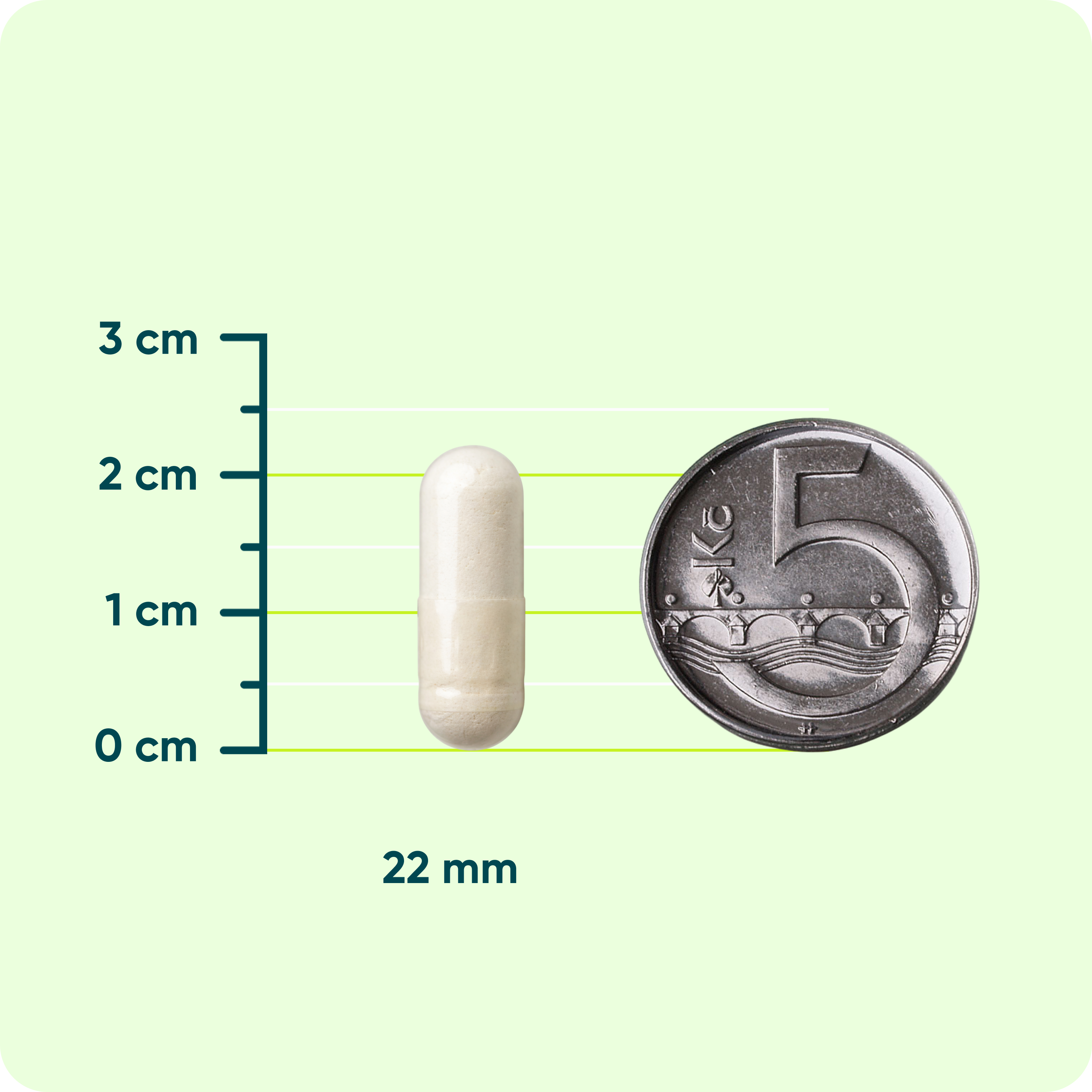 MOVit Longevity Resveratrol 300 mg, 60 kapslí