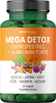 MEGA DETOX Ostropestřec s Kurkuminem Forte, 60 kapslí
