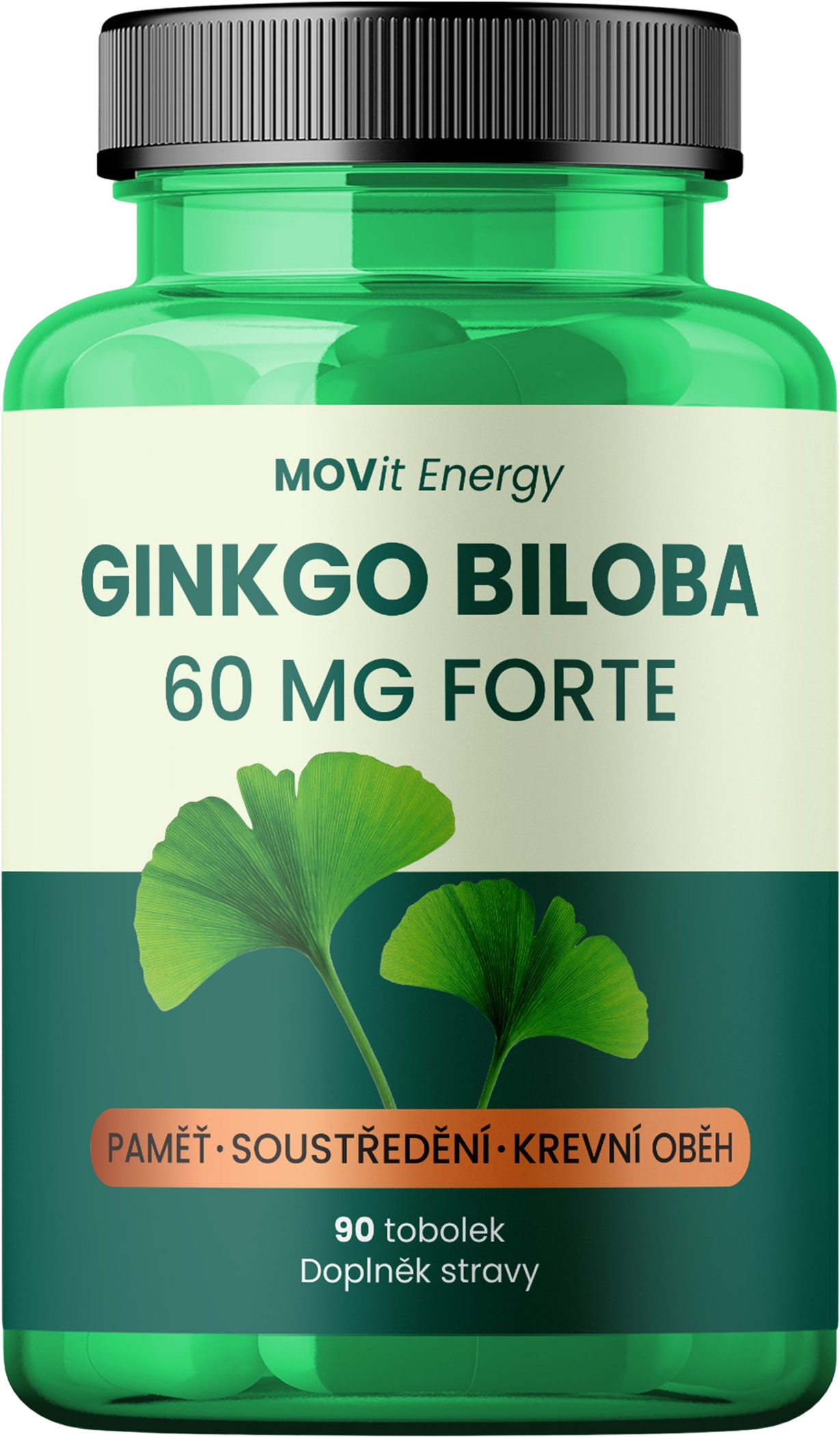 Ginkgo Biloba 60 mg FORTE, 90 tobolek