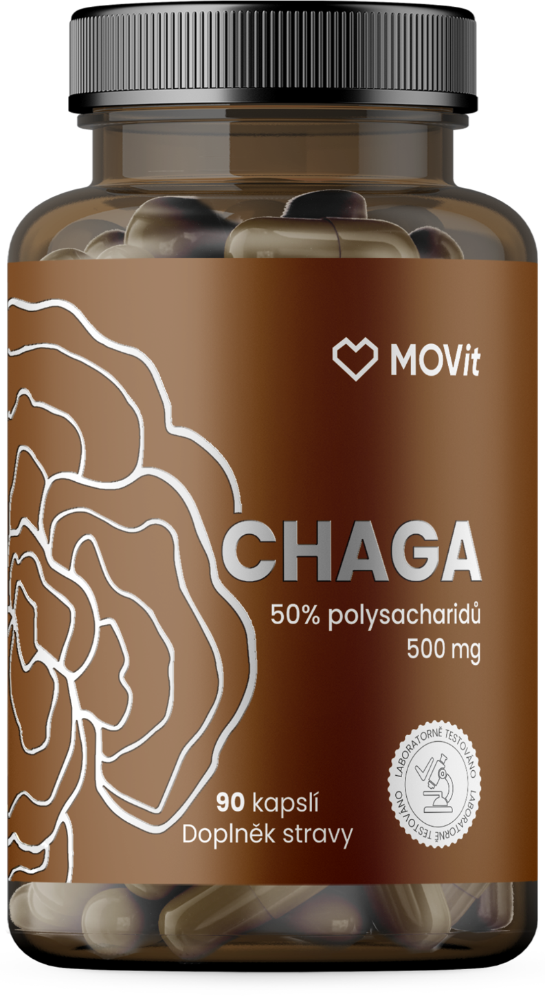 Chaga 50% polysacharidů 500 mg, 90 kapslí
