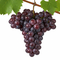 Resveratrol