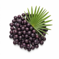 Saw palmetto